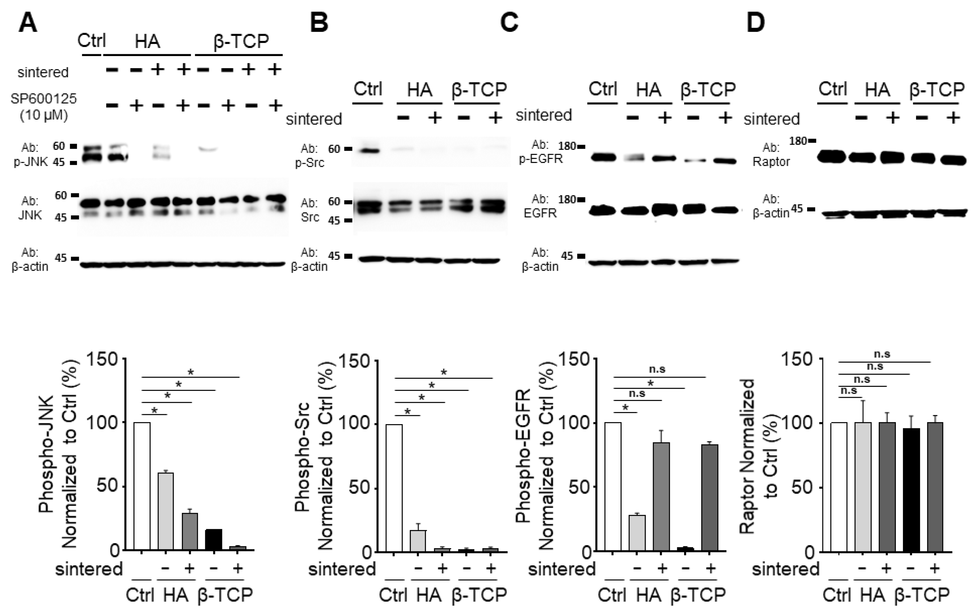 Biomedicines 11 00785 g003