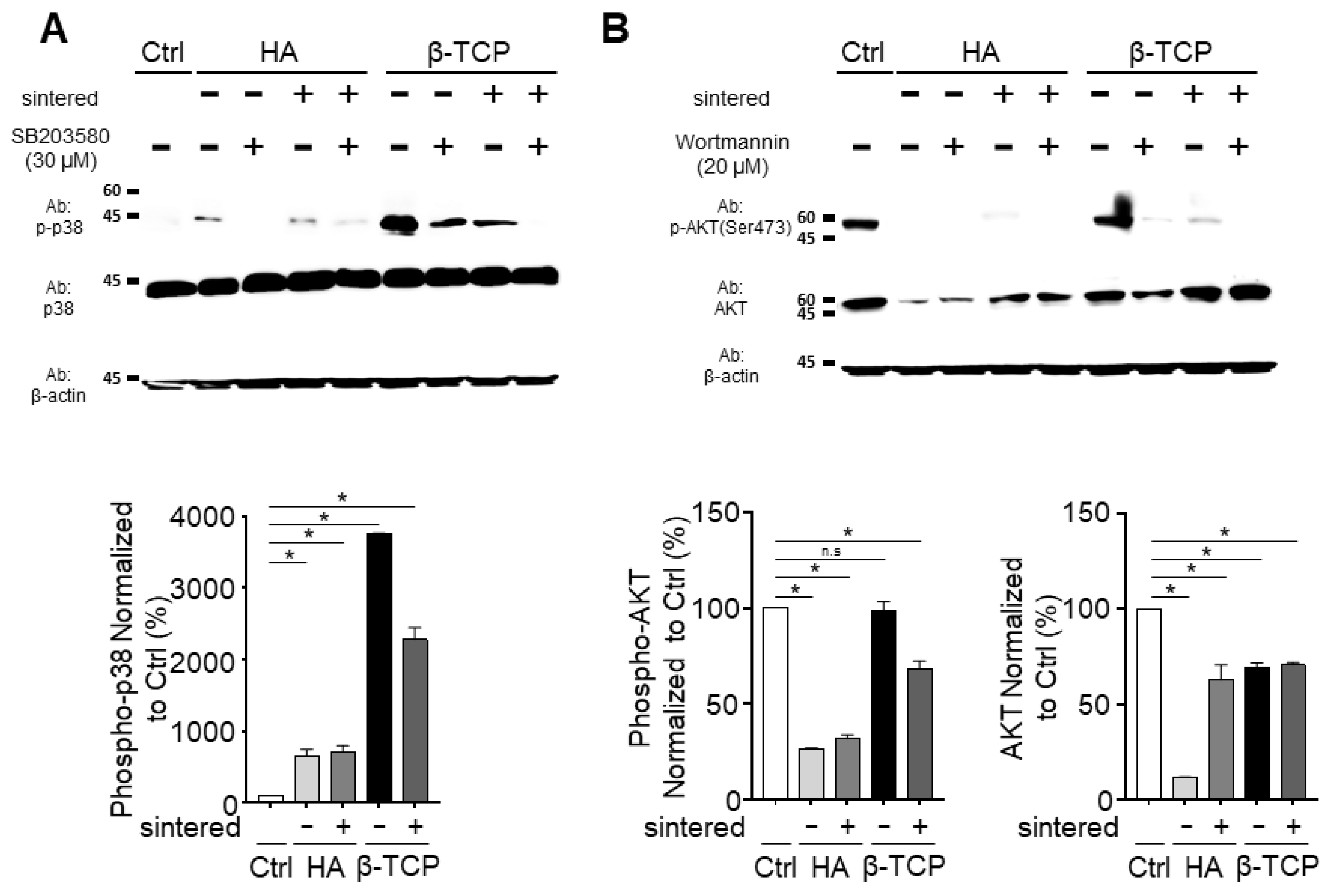Biomedicines 11 00785 g004
