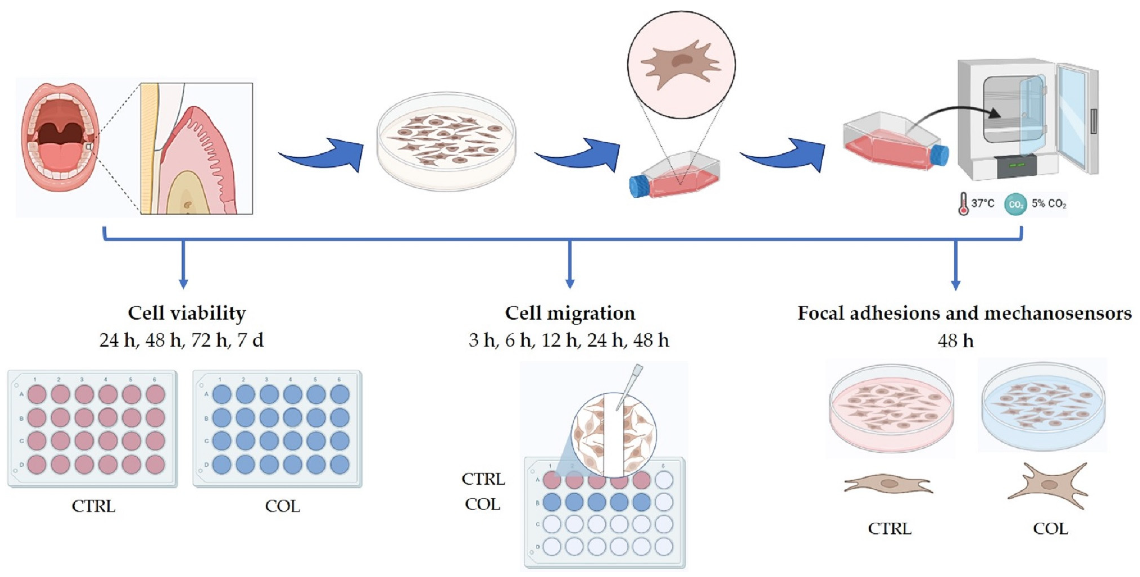 Biomedicines 11 00786 g001 Biomedicines 11 00786 g001