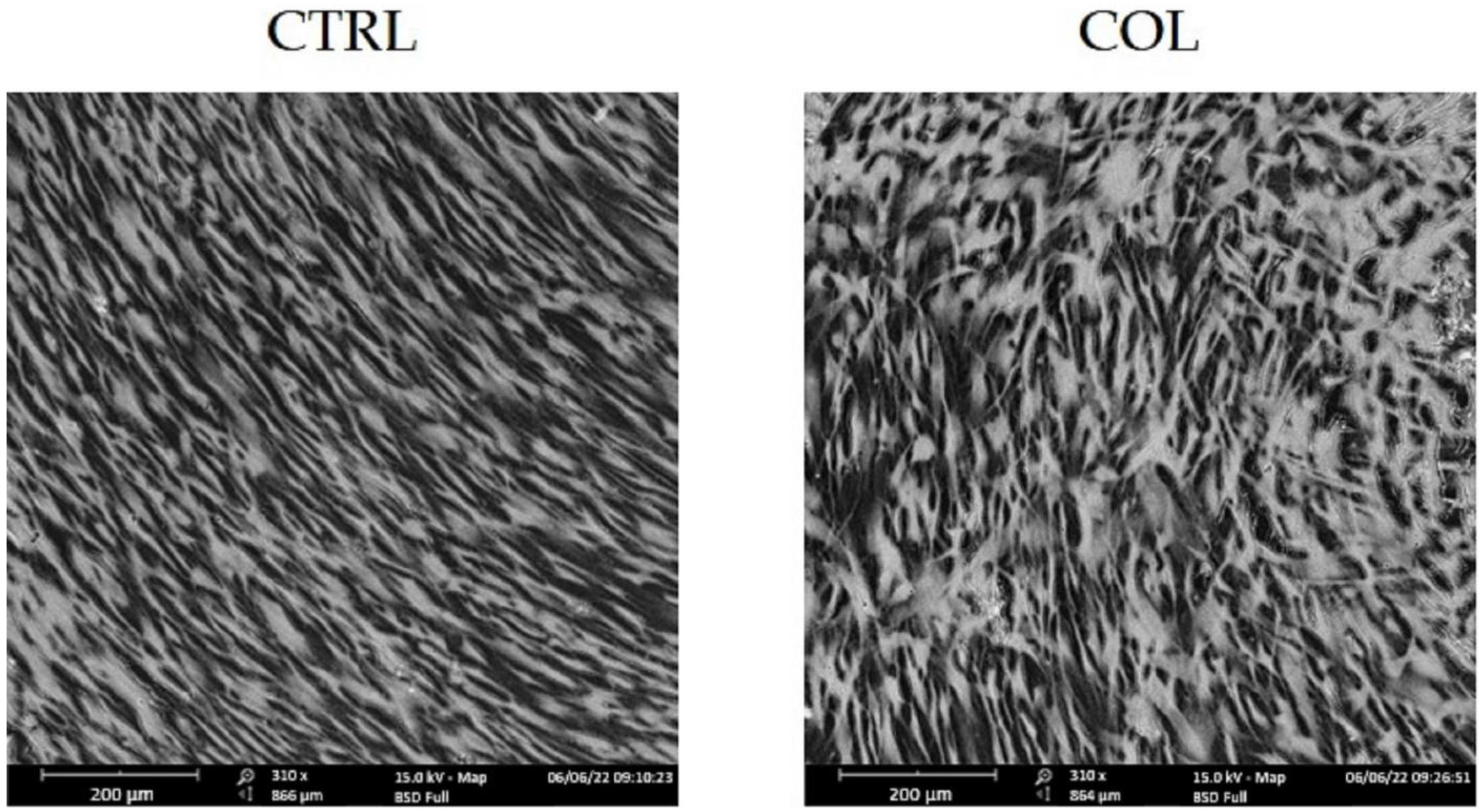 Biomedicines 11 00786 g003 Biomedicines 11 00786 g003