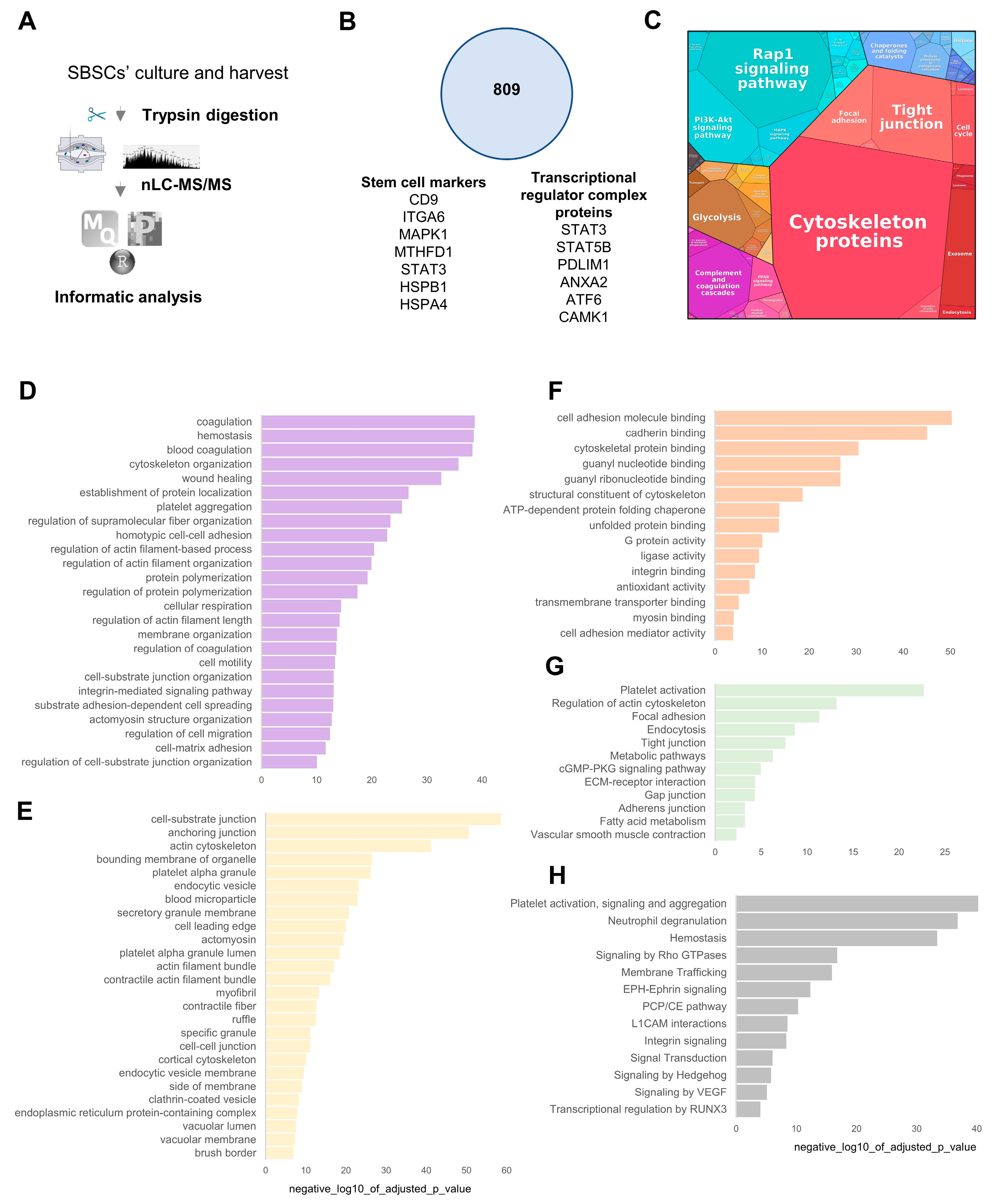 Biomedicines 11 00787 g008