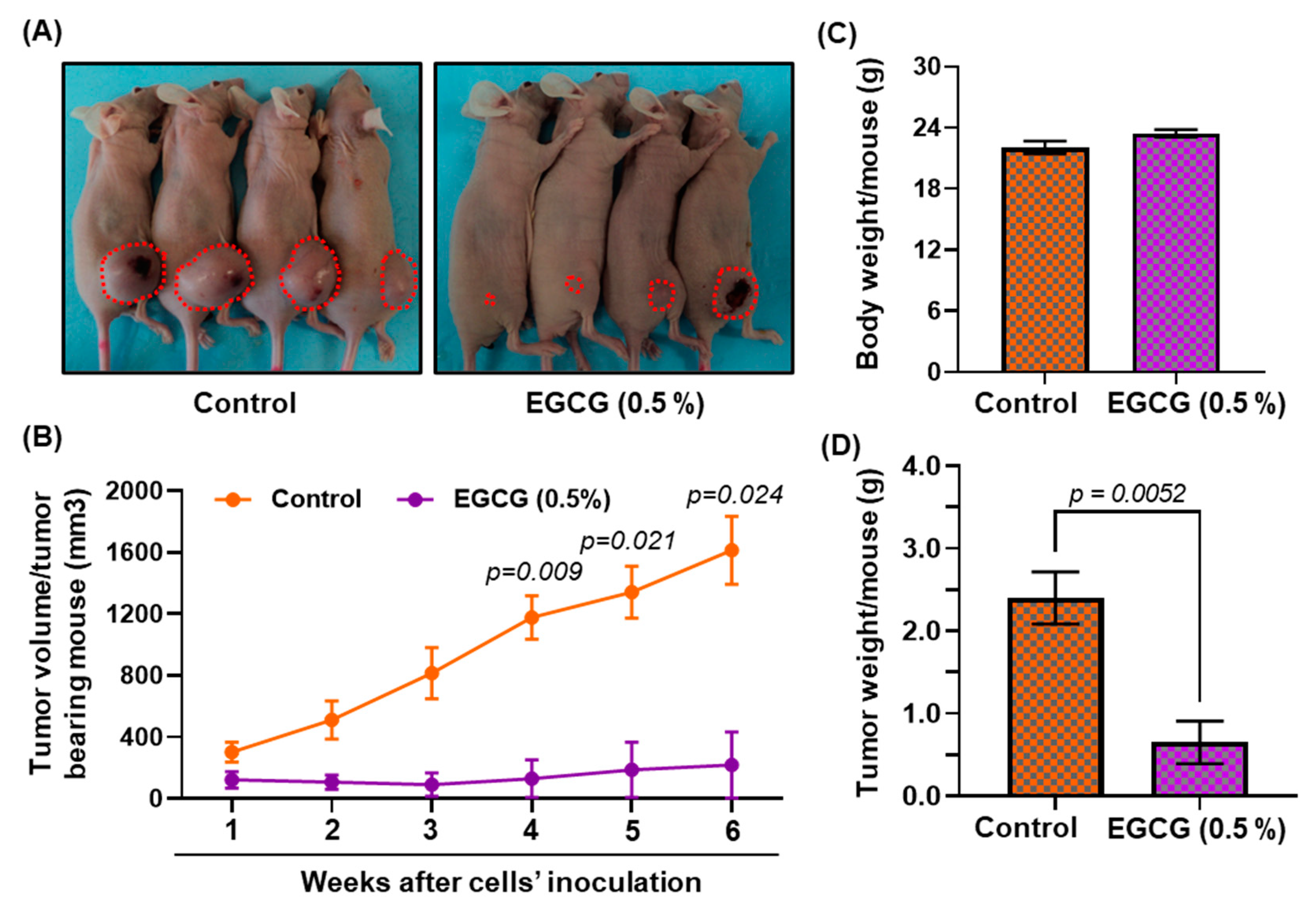 Biomedicines 11 00789 g006 Biomedicines 11 00789 g006
