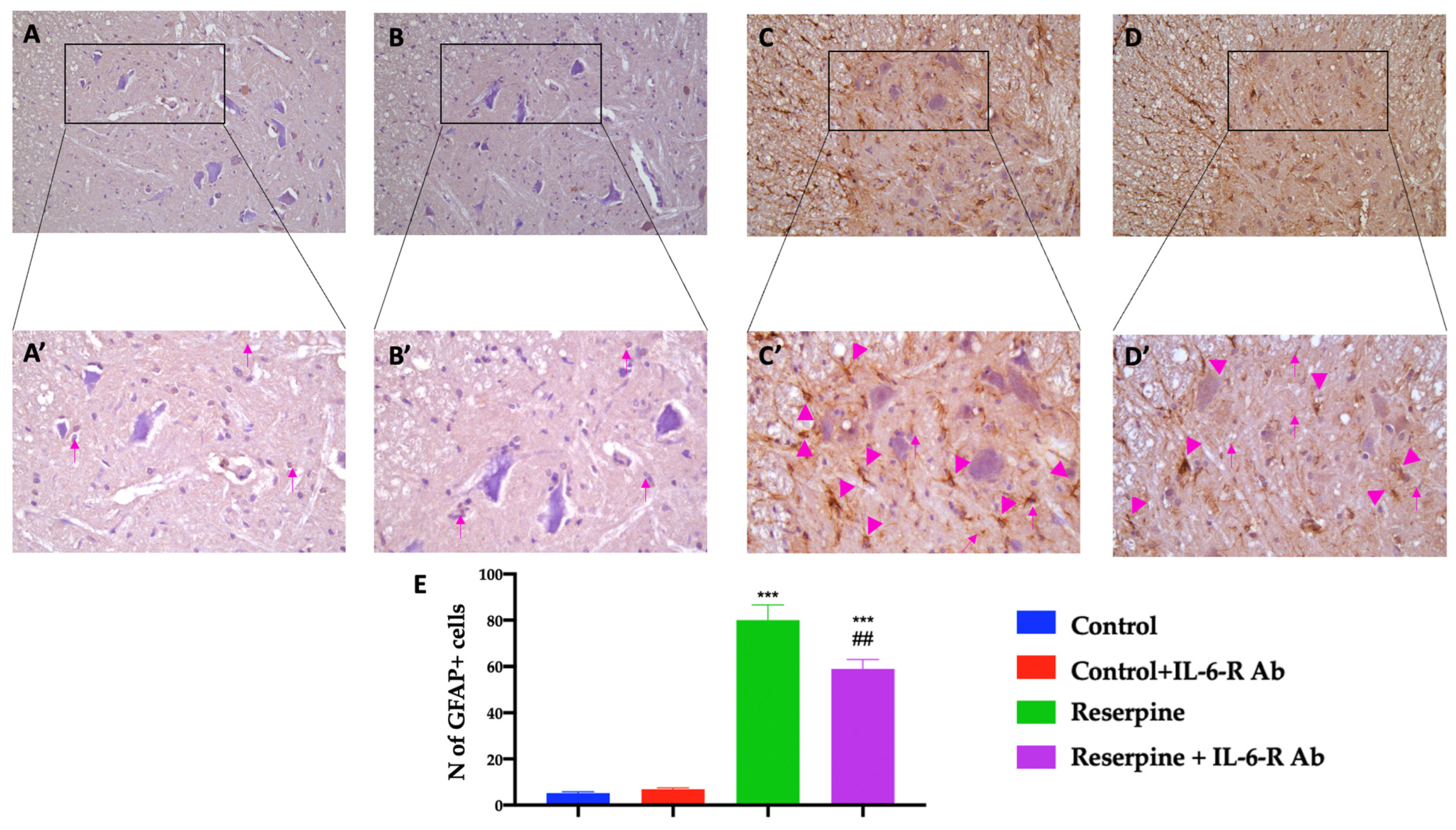 Biomedicines 11 00792 g006 Biomedicines 11 00792 g006