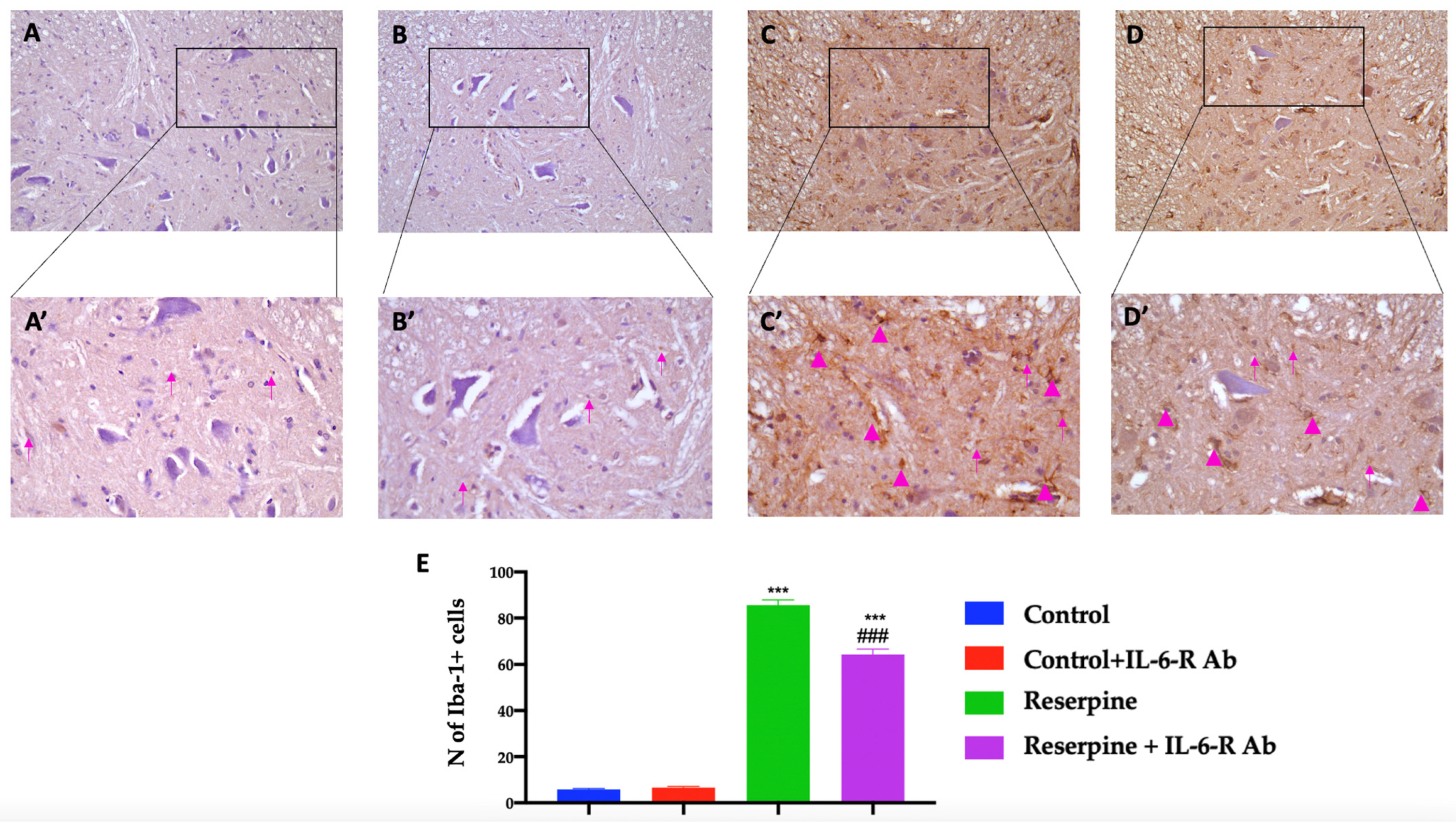 Biomedicines 11 00792 g007 Biomedicines 11 00792 g007