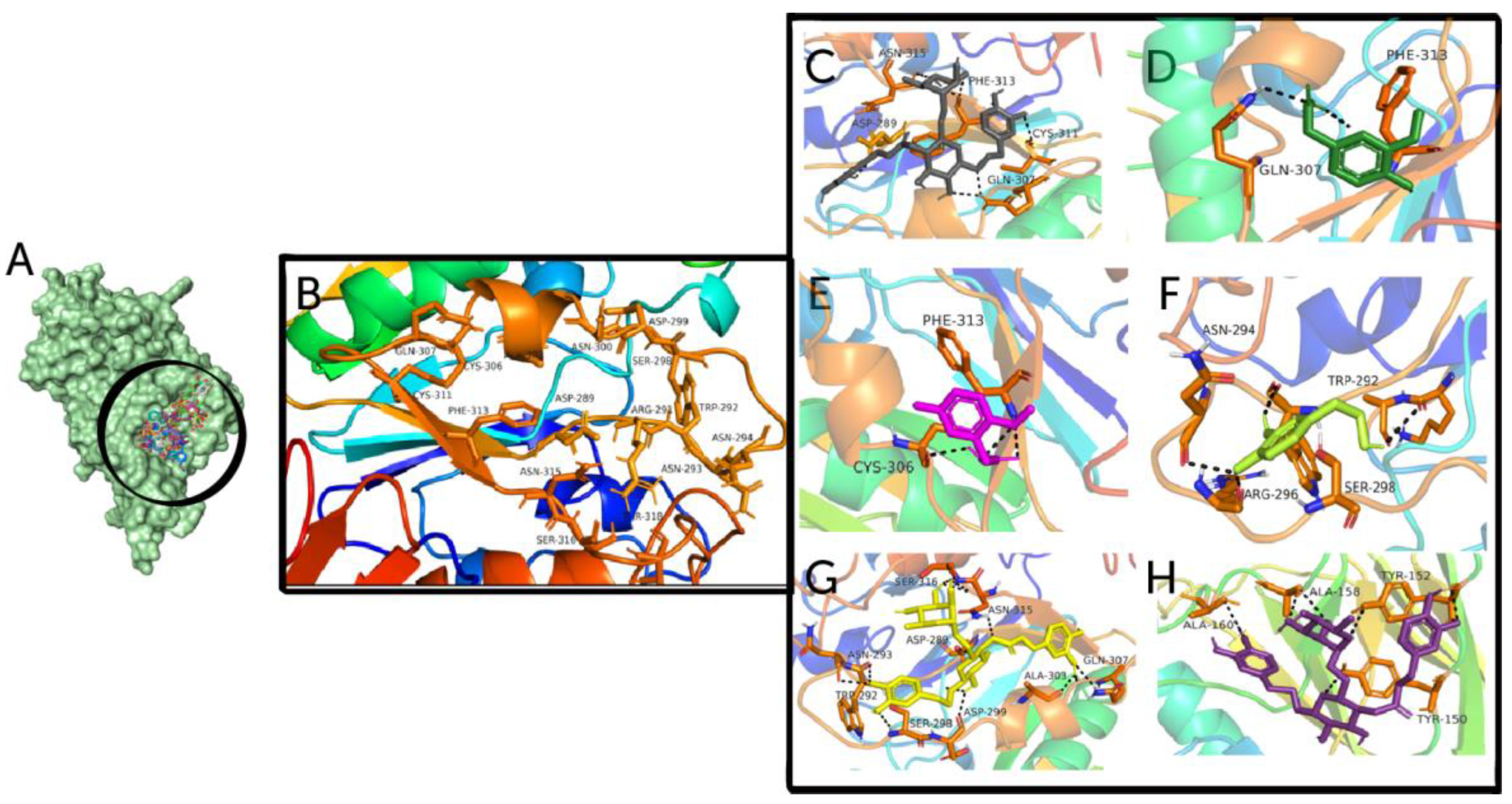 Biomedicines 11 00793 g003 Biomedicines 11 00793 g003