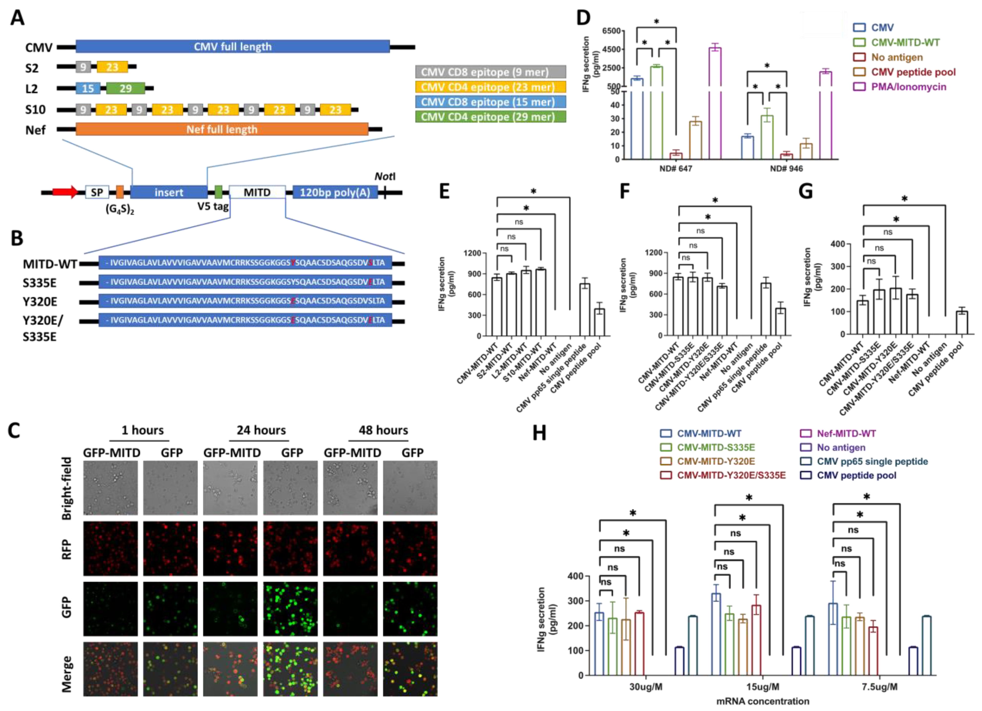 Biomedicines 11 00796 g002 Biomedicines 11 00796 g002