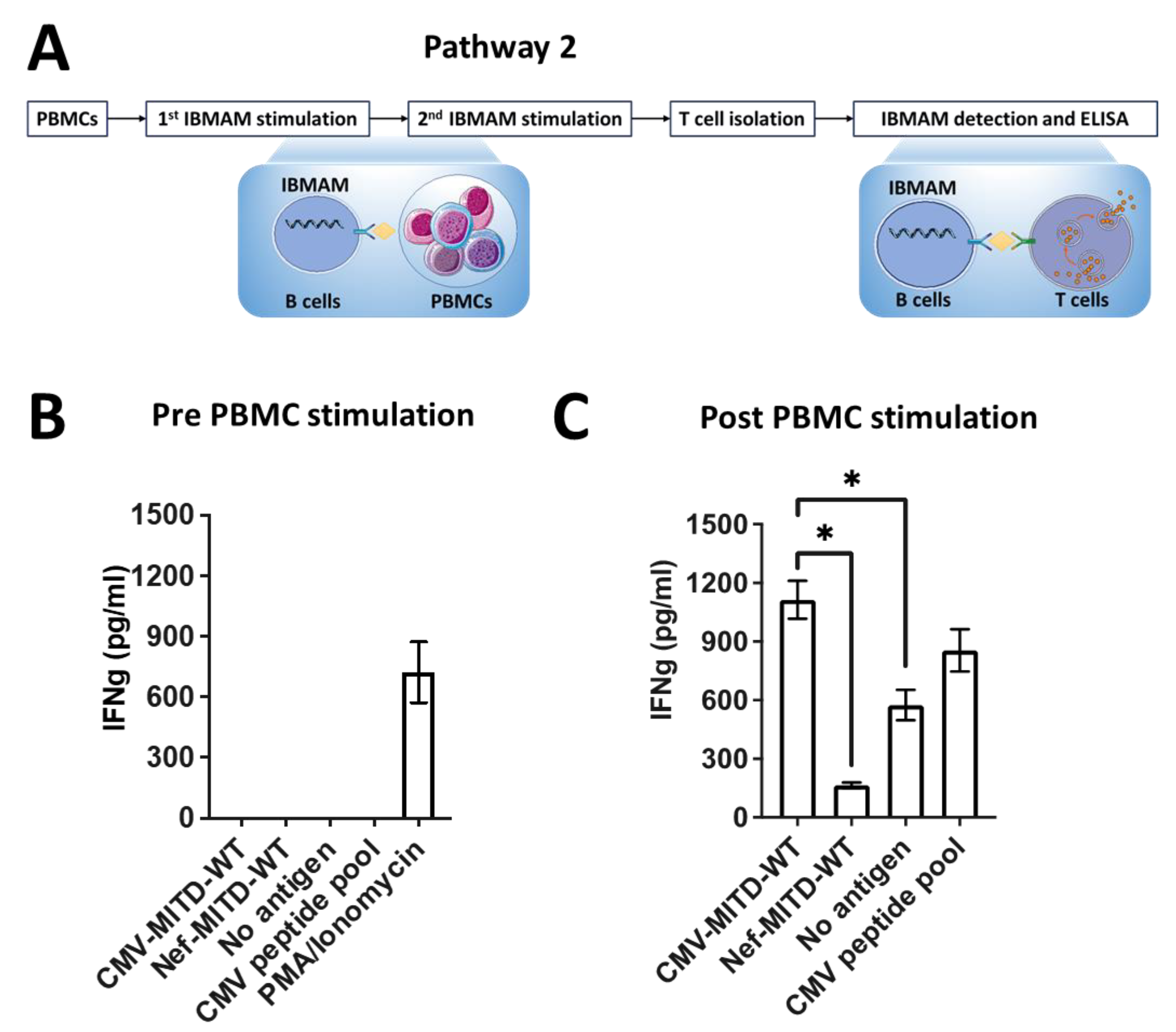 Biomedicines 11 00796 g006 Biomedicines 11 00796 g006