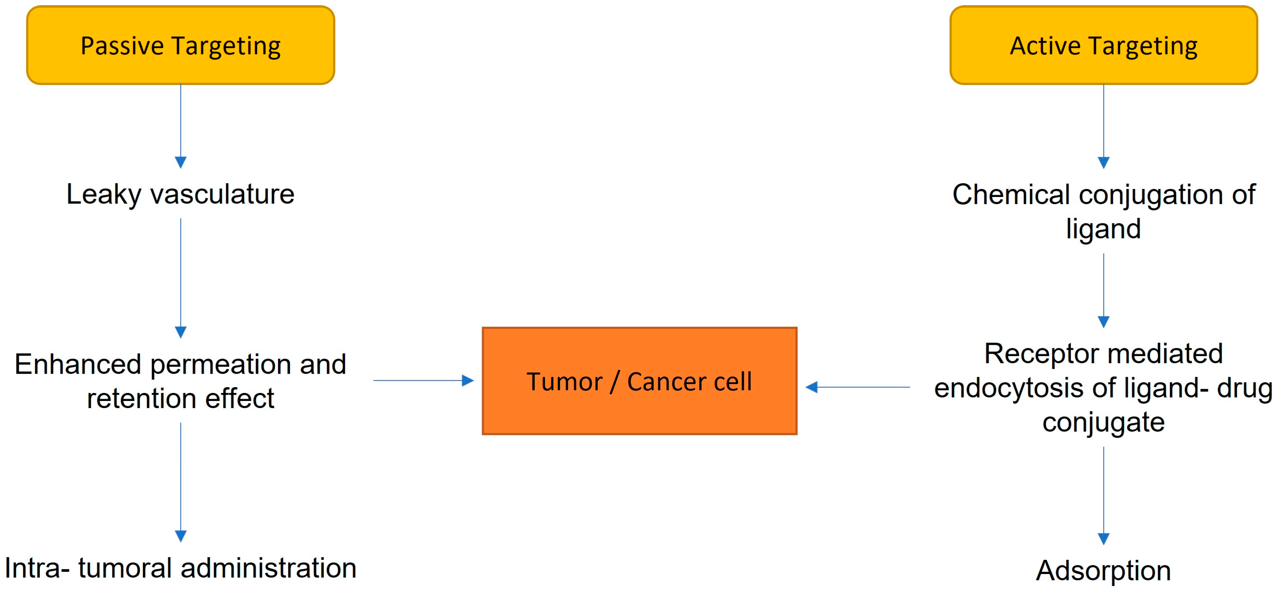 Biomedicines 11 00798 g002 Biomedicines 11 00798 g002
