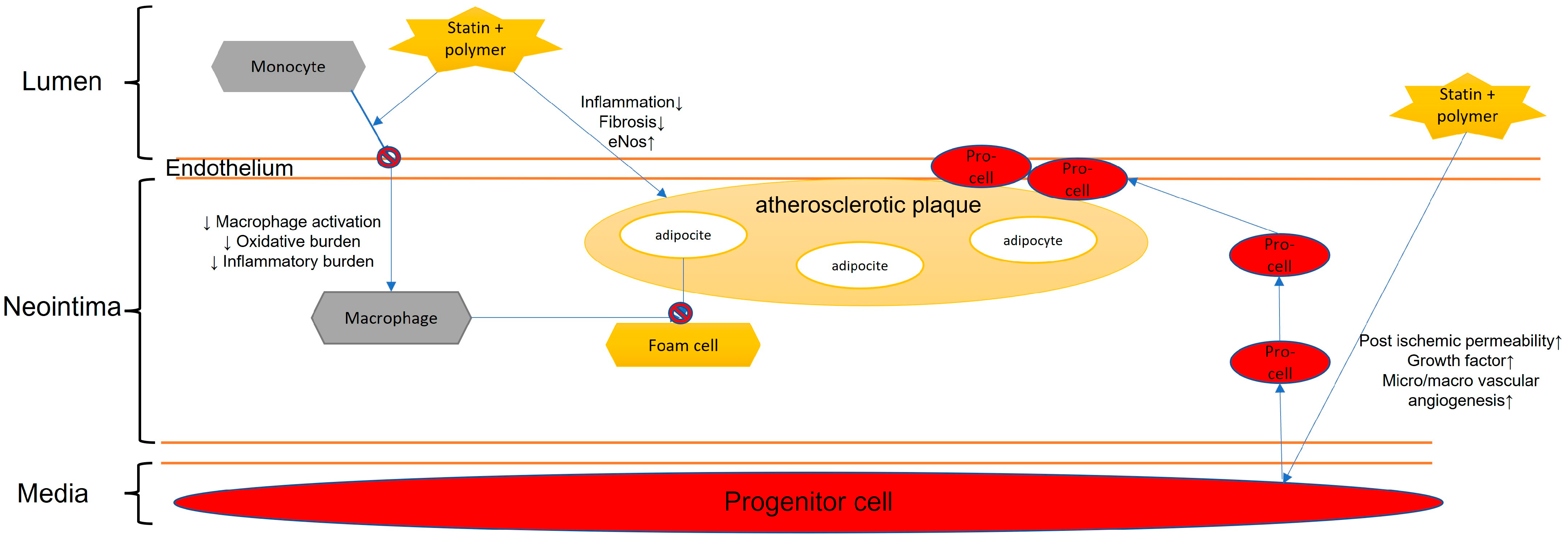Biomedicines 11 00798 g004 Biomedicines 11 00798 g004