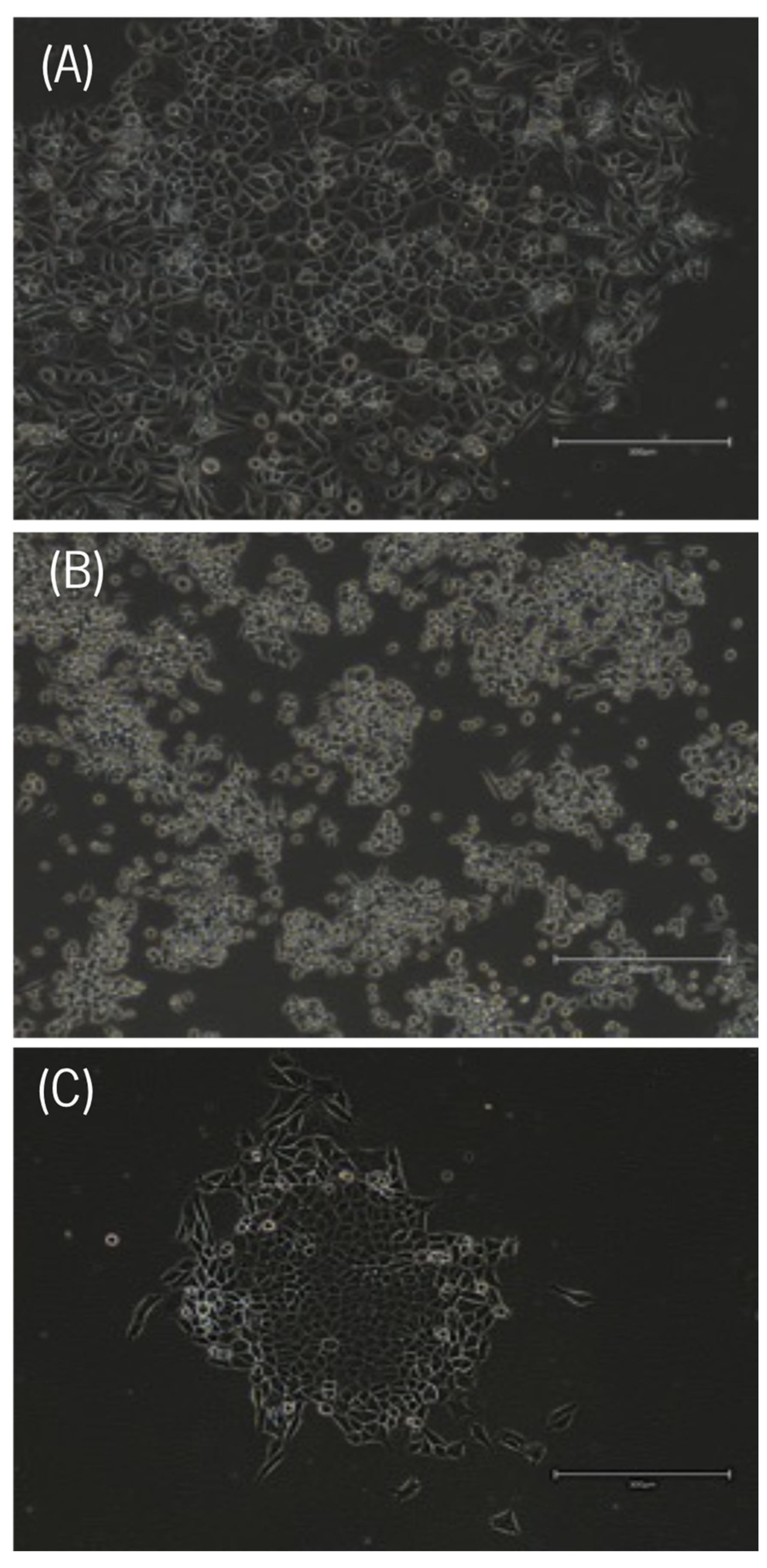 Biomedicines 11 00799 g002