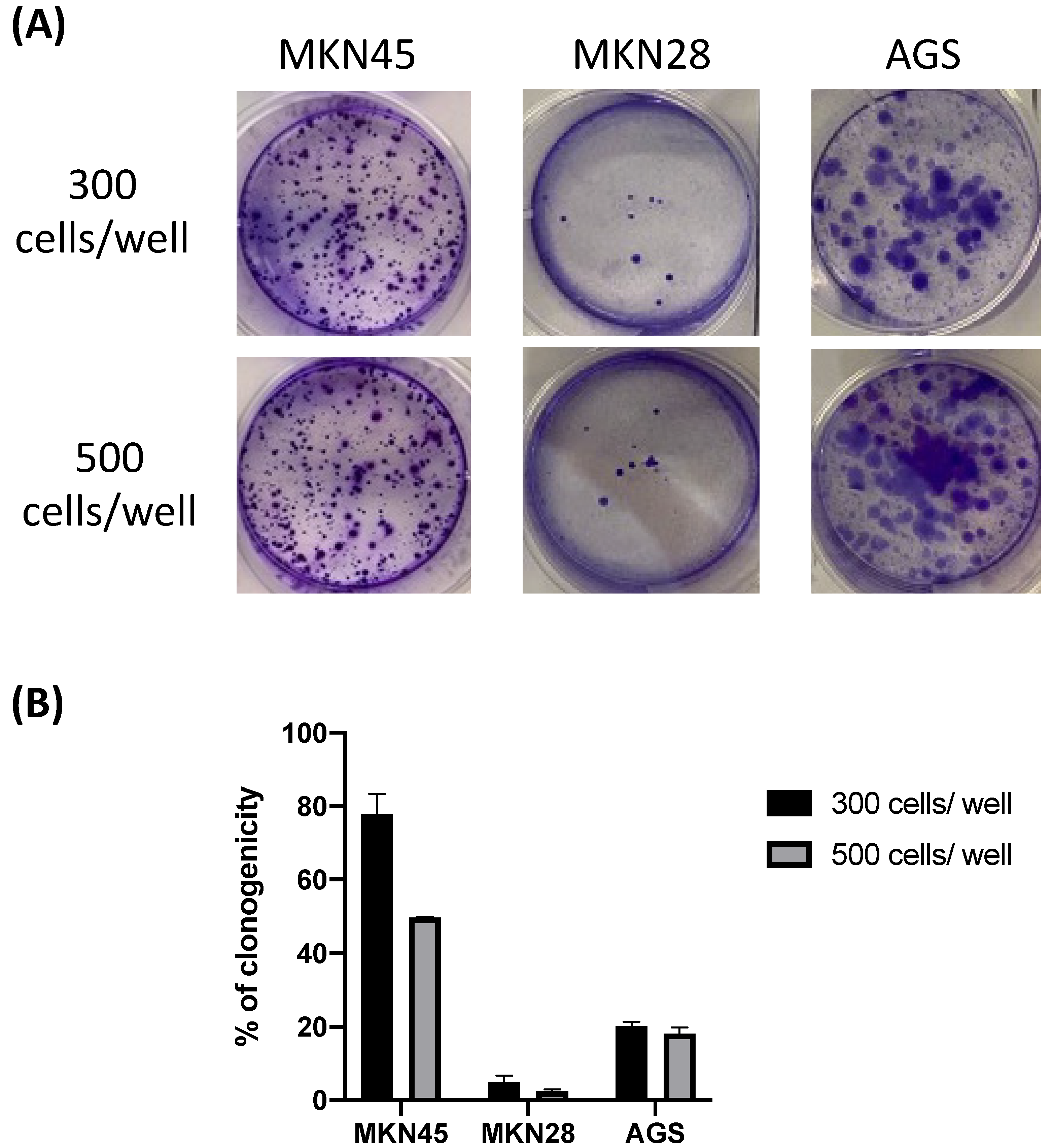 Biomedicines 11 00799 g003