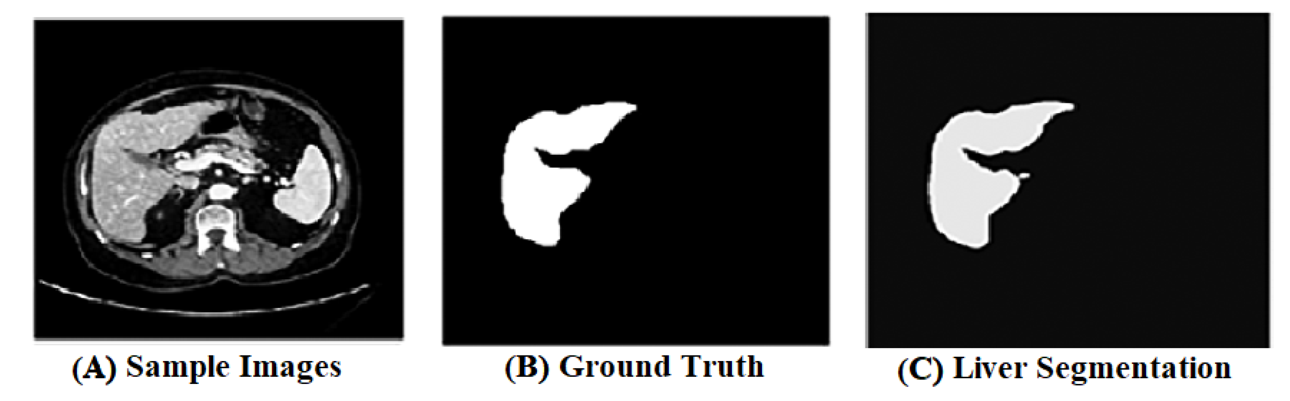 Biomedicines 11 00800 g004 Biomedicines 11 00800 g004
