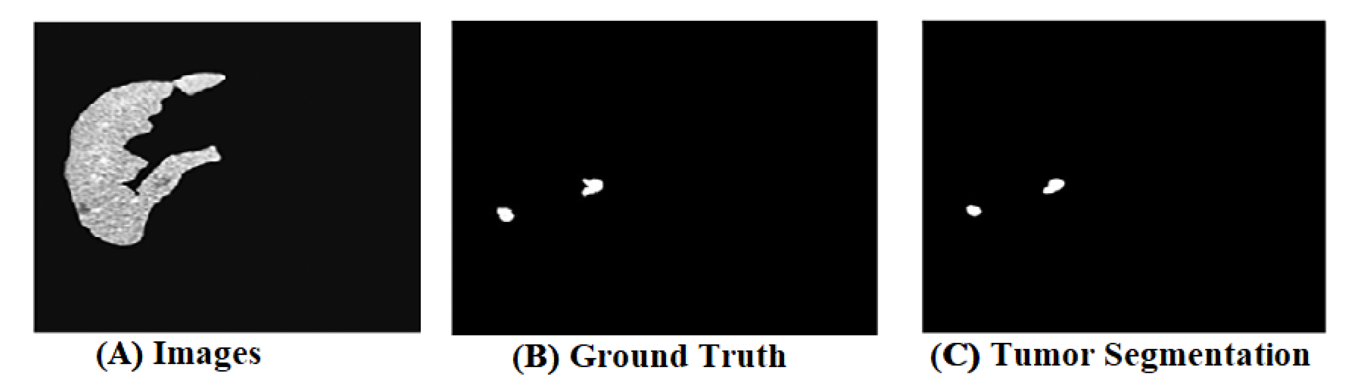 Biomedicines 11 00800 g005 Biomedicines 11 00800 g005
