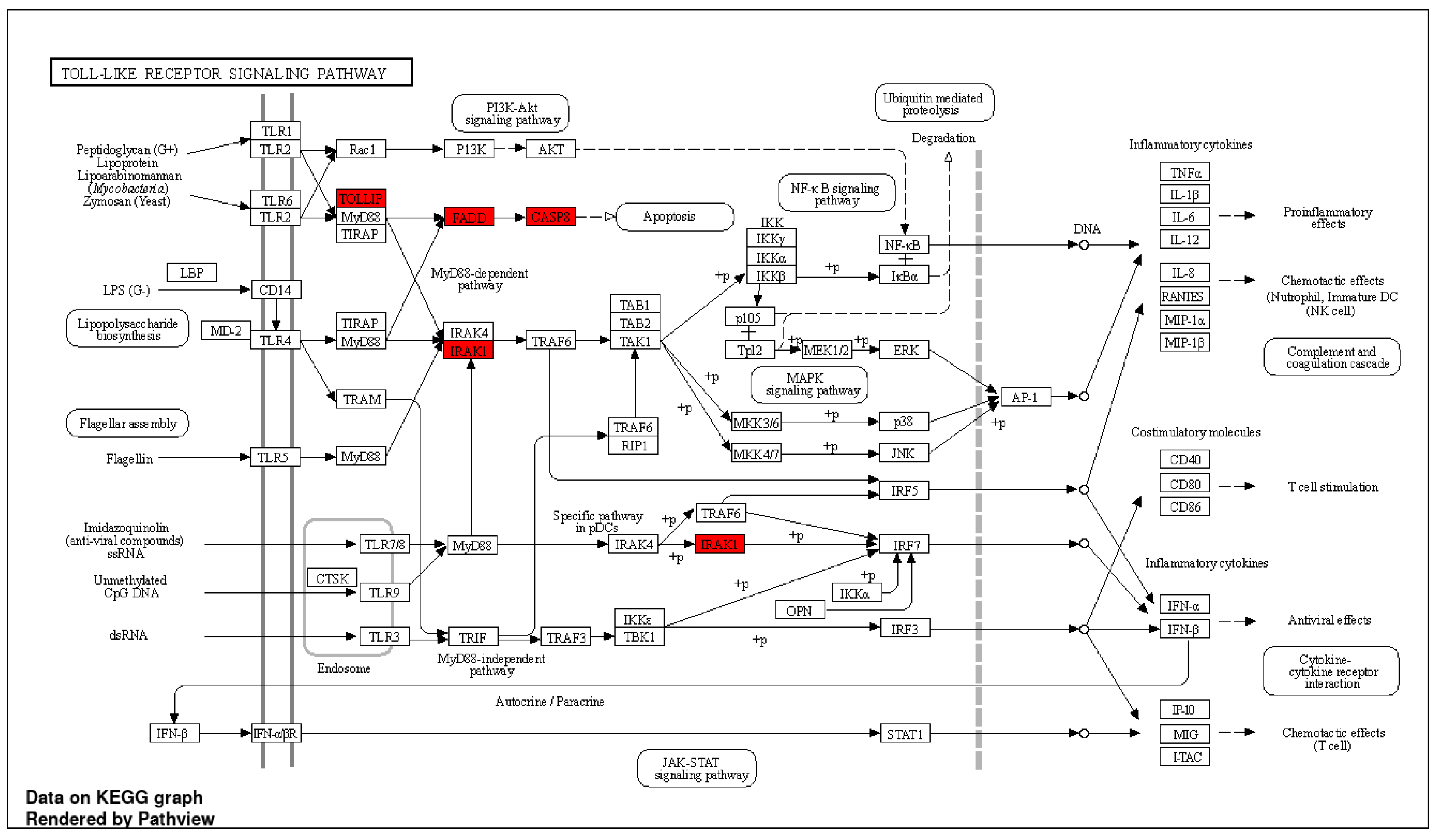 Biomedicines 11 00801 g006 Biomedicines 11 00801 g006