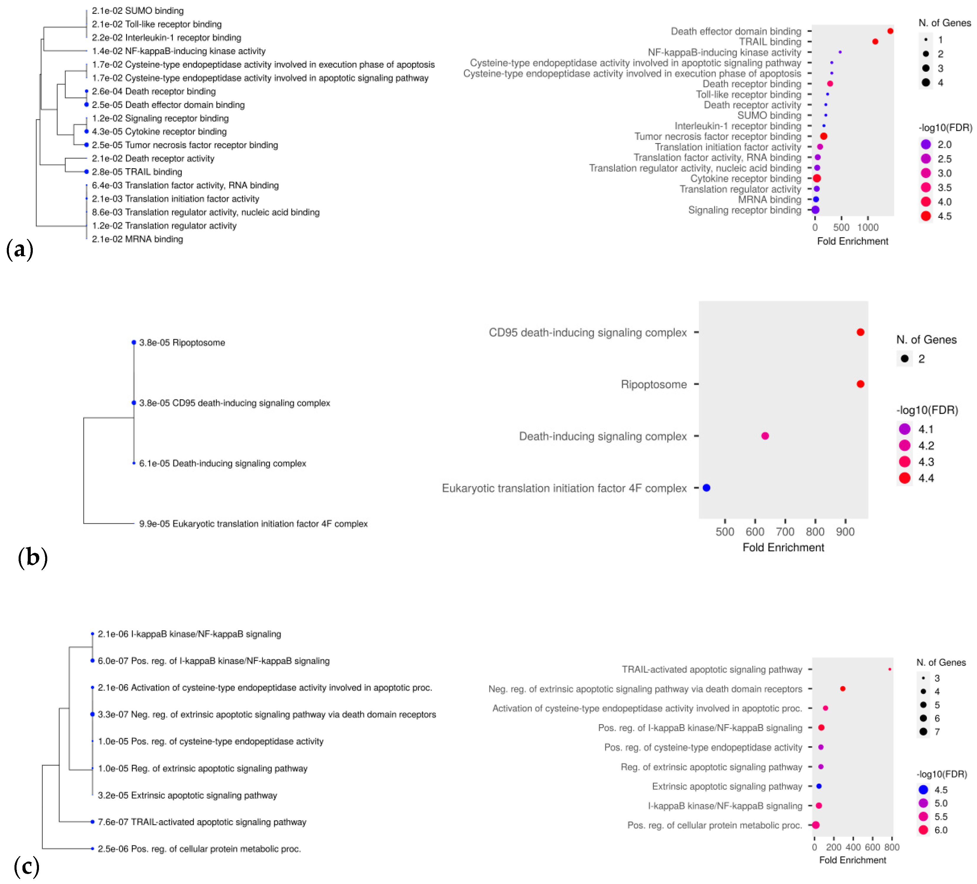 Biomedicines 11 00801 g007 Biomedicines 11 00801 g007