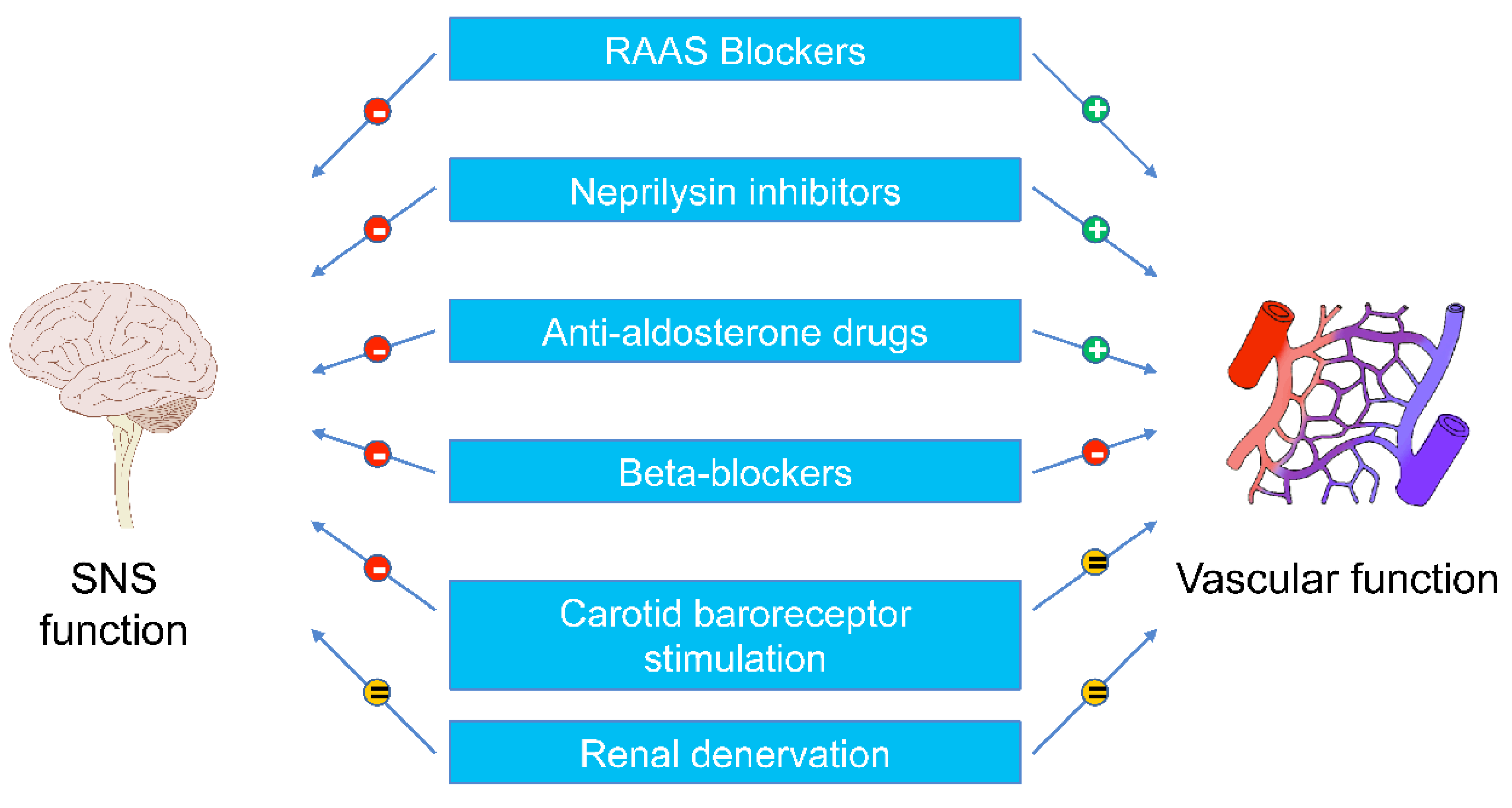 Biomedicines 11 00803 g002 Biomedicines 11 00803 g002