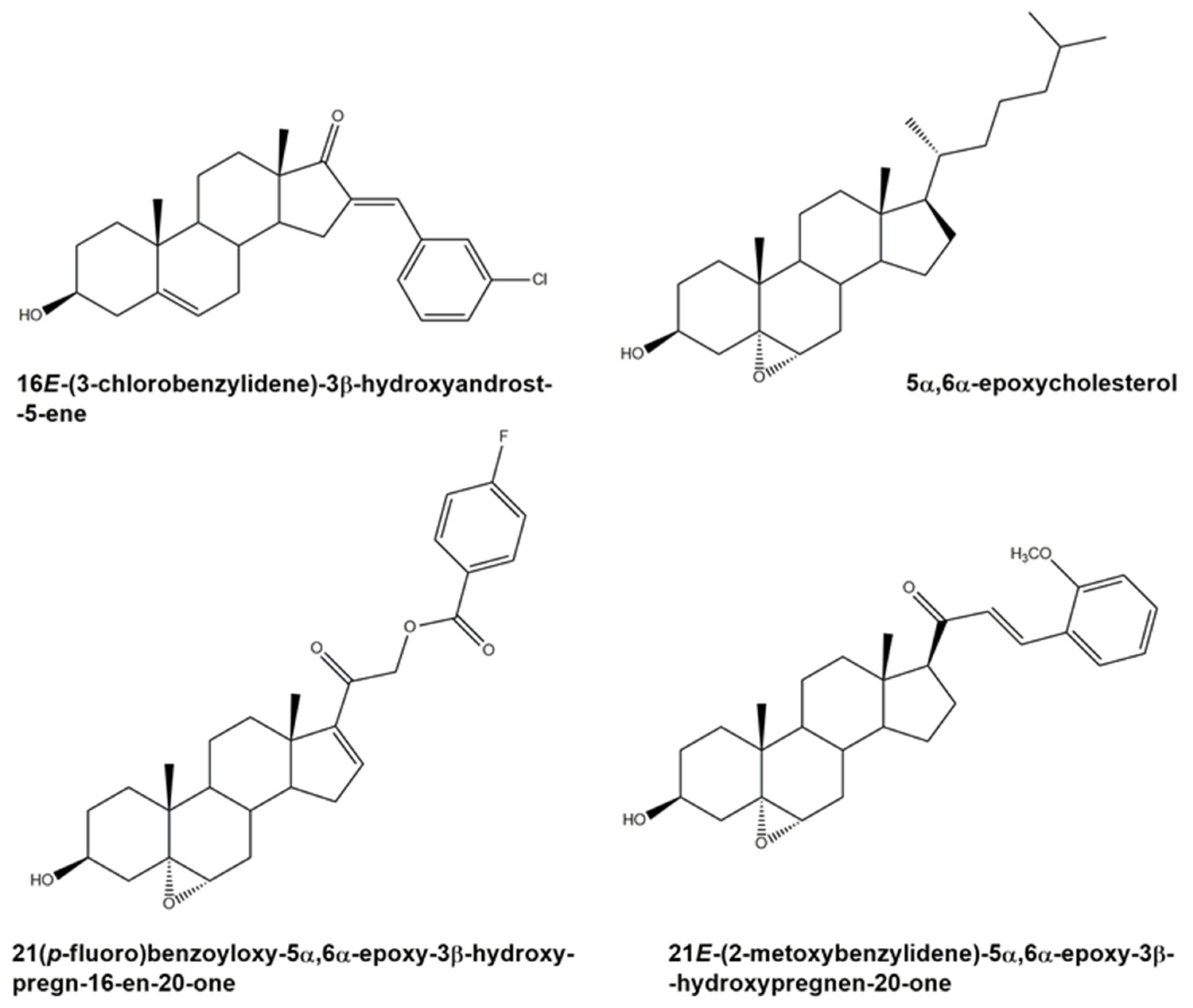 Biomedicines 11 00812 g001