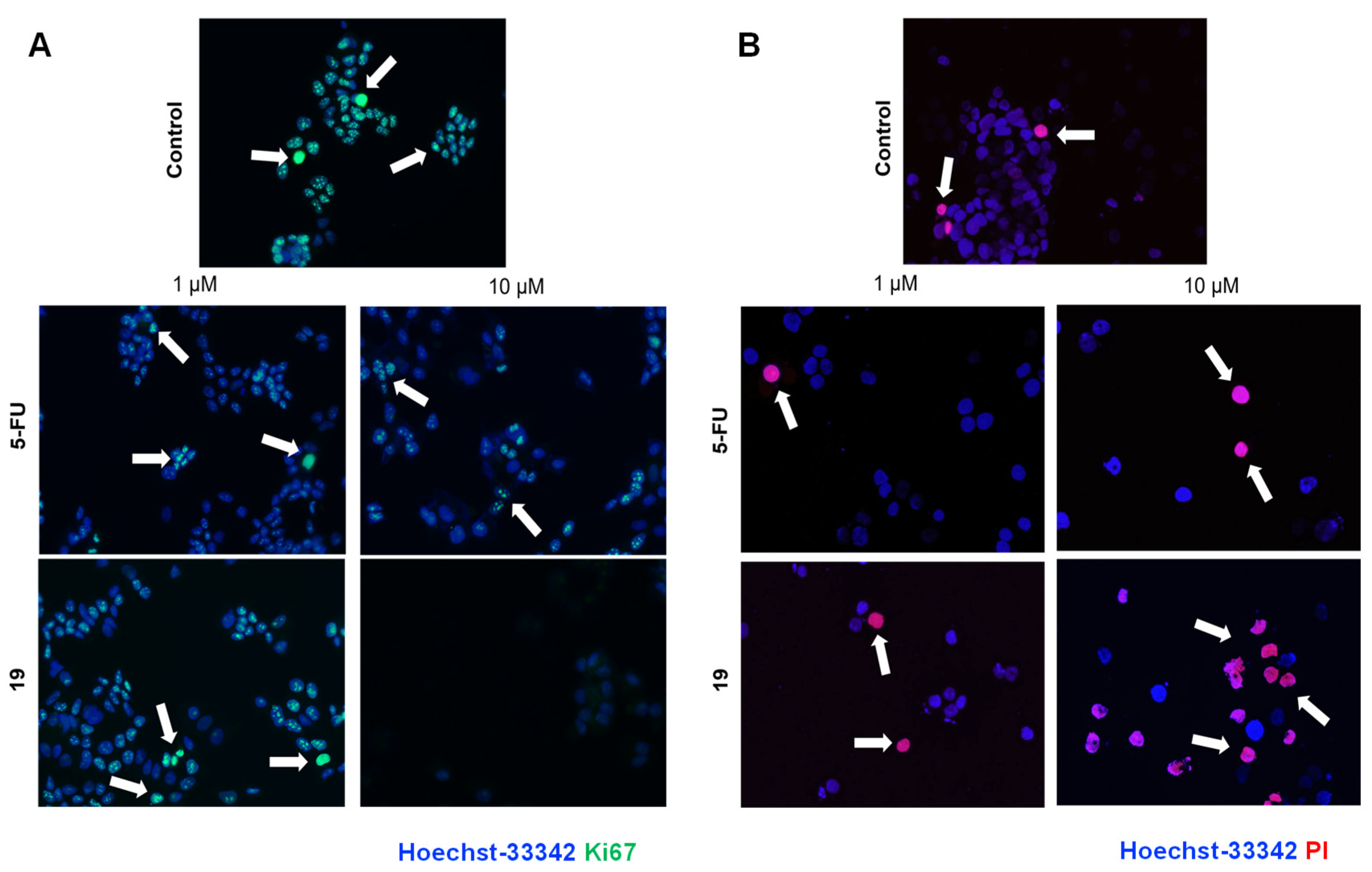 Biomedicines 11 00812 g004
