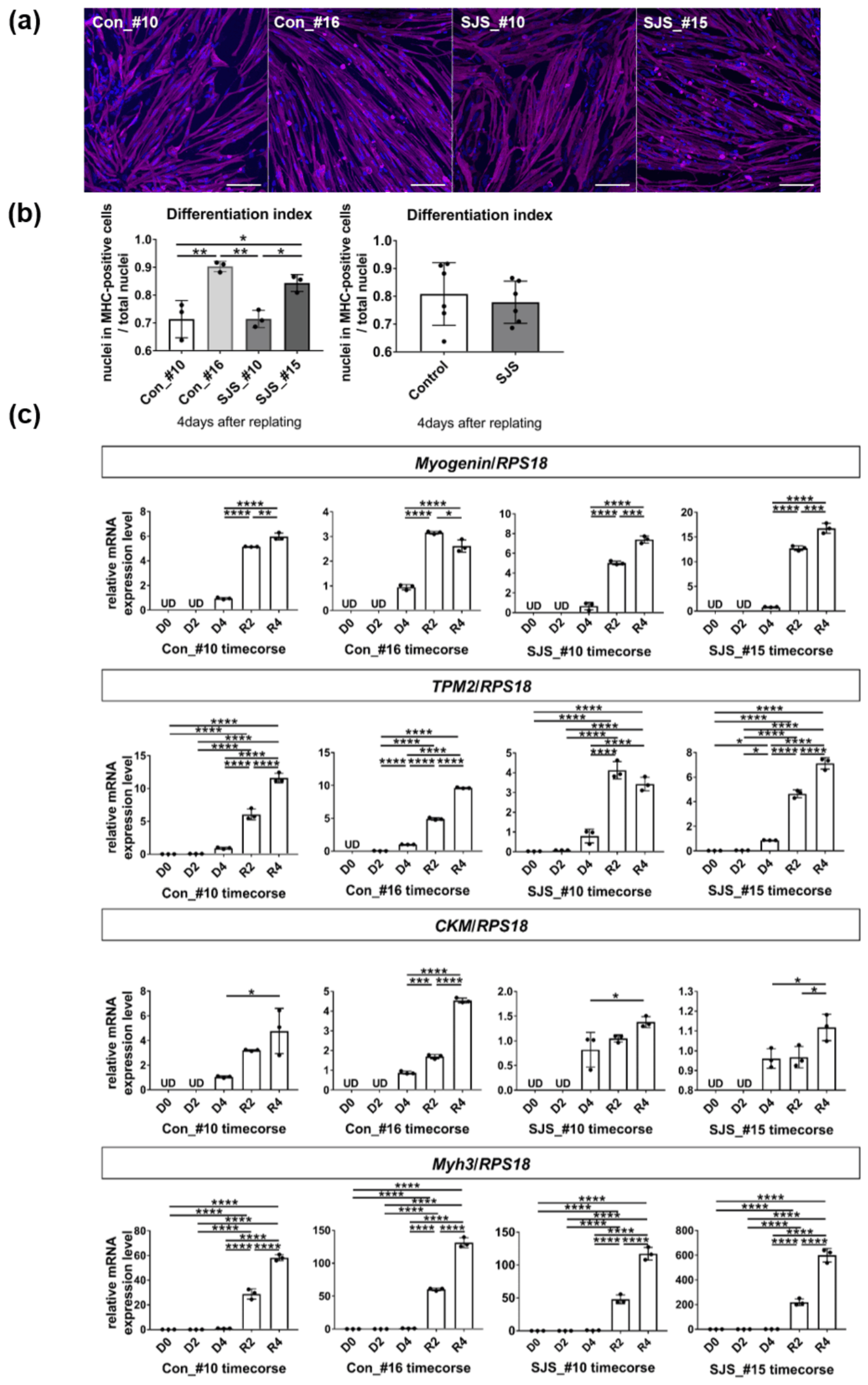 Biomedicines 11 00814 g002 Biomedicines 11 00814 g002