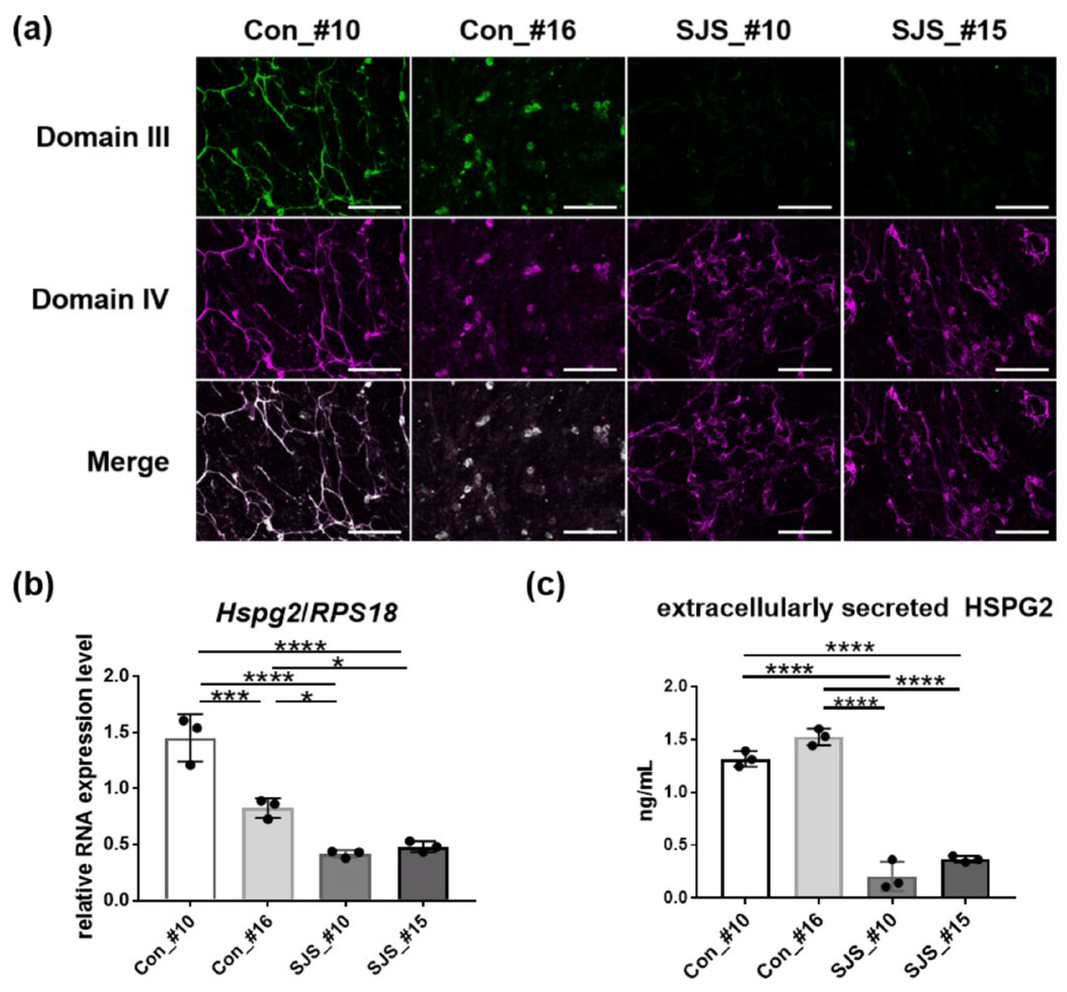 Biomedicines 11 00814 g003 Biomedicines 11 00814 g003