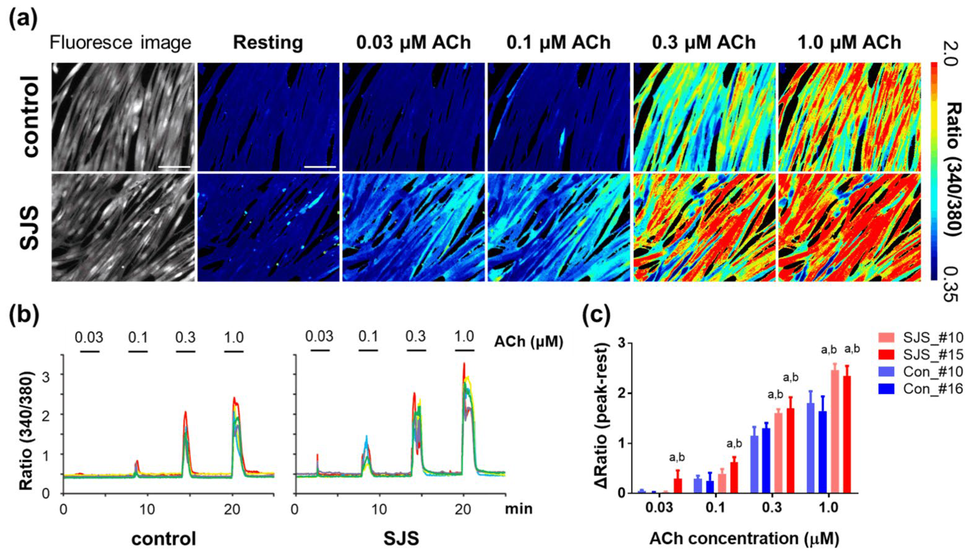 Biomedicines 11 00814 g004 Biomedicines 11 00814 g004