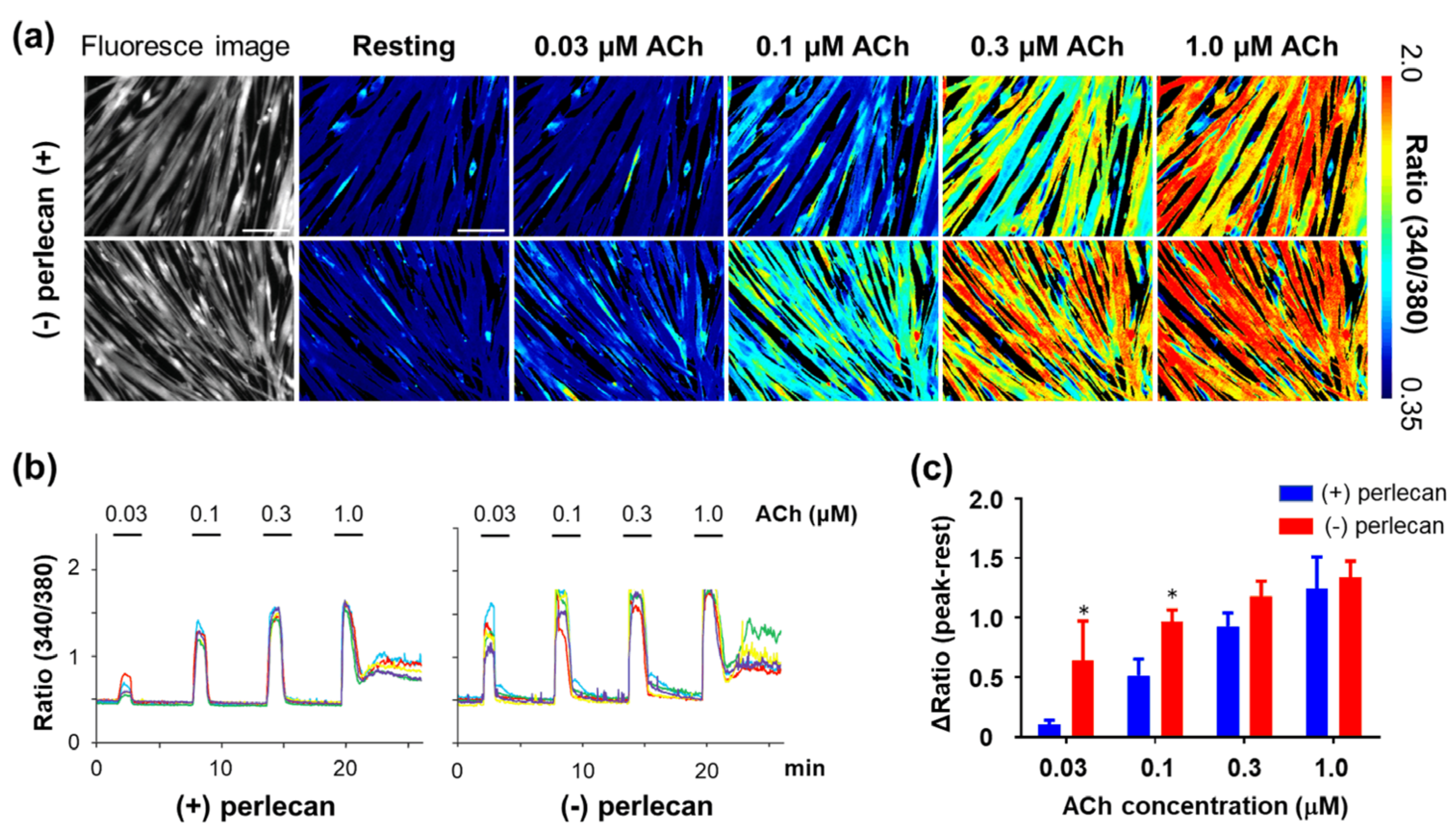 Biomedicines 11 00814 g005 Biomedicines 11 00814 g005