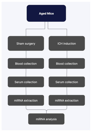 ୨୧ Liquid Biopsy in Neurological Diseases