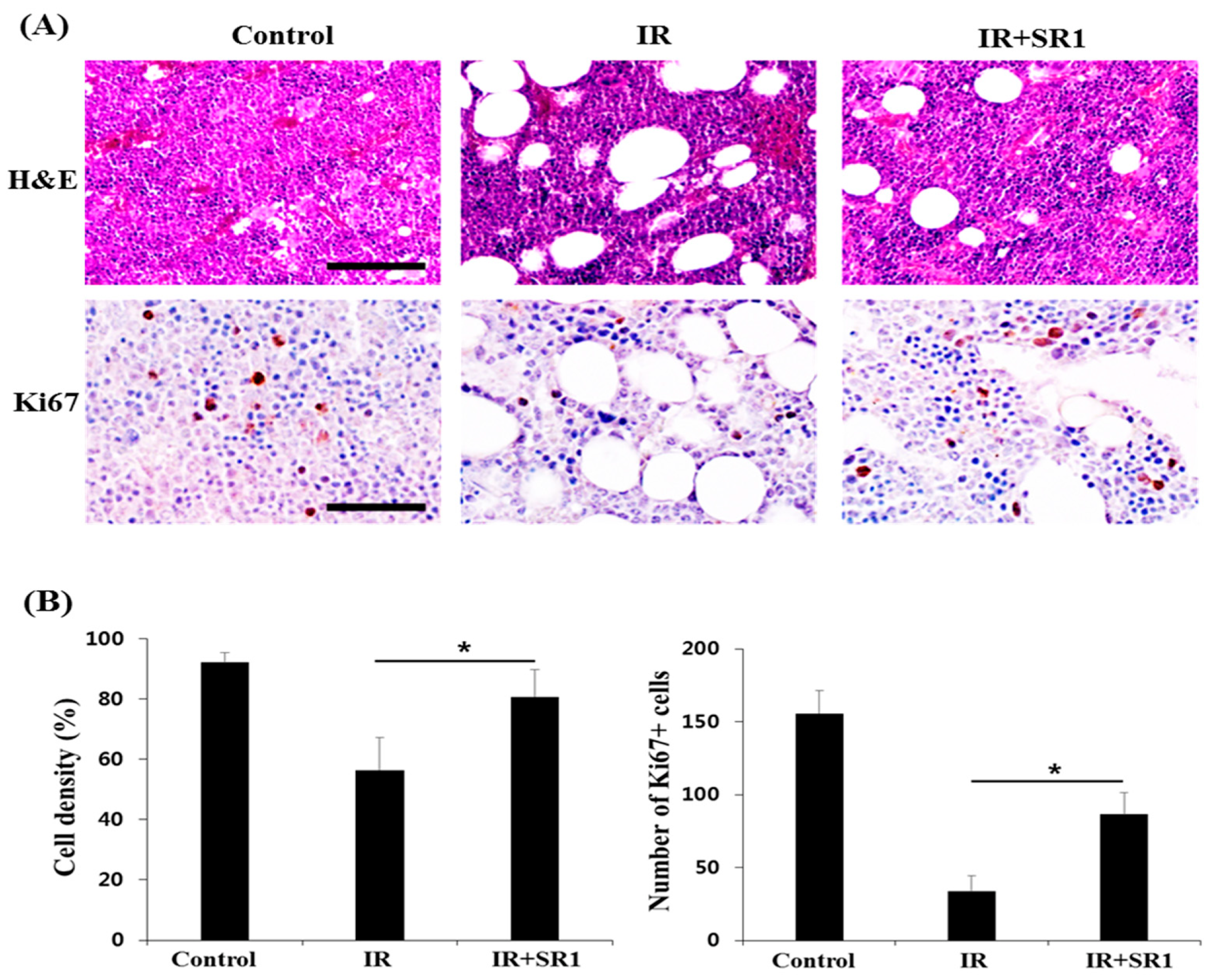 Biomedicines 11 00824 g002