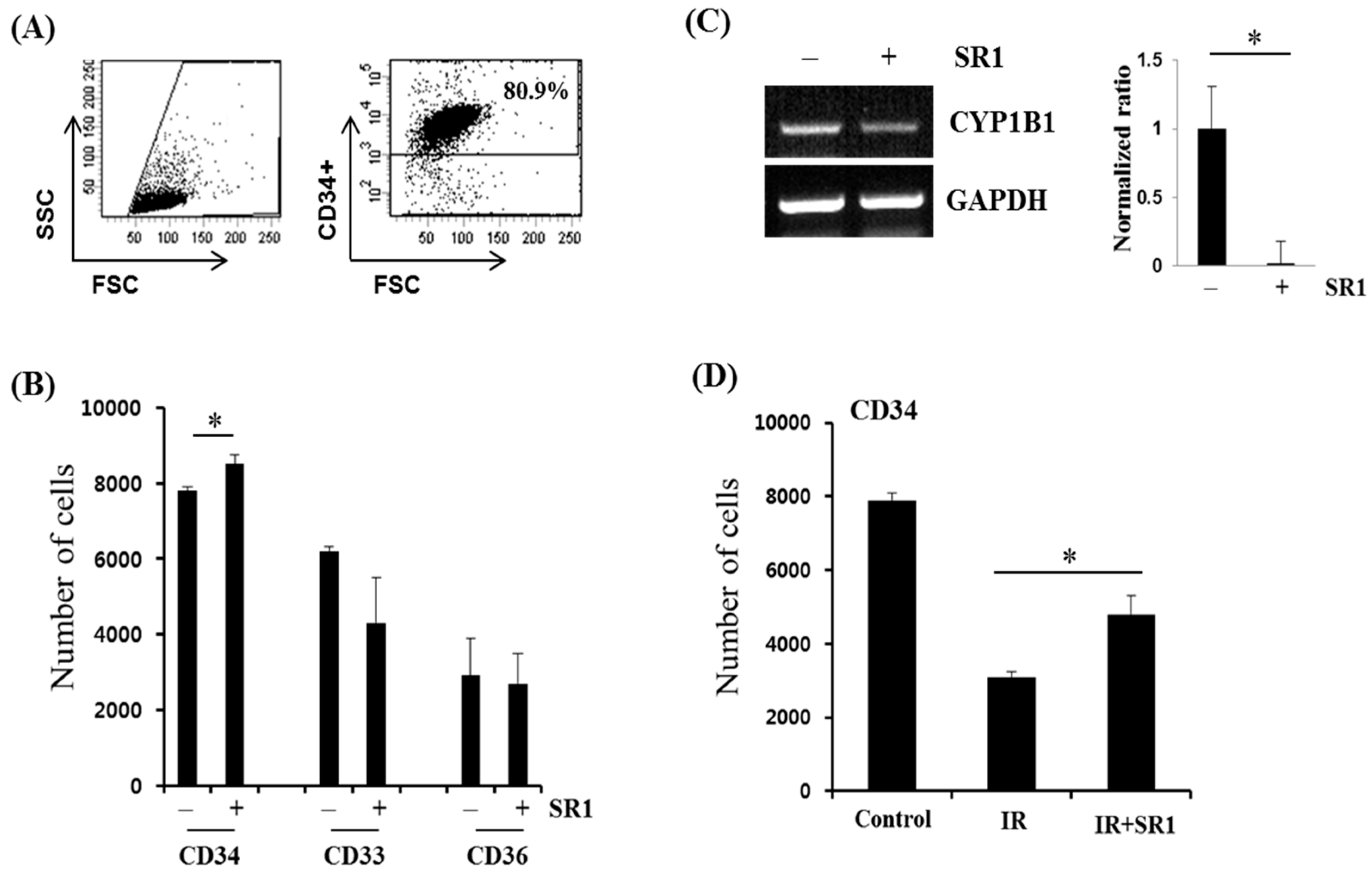 Biomedicines 11 00824 g003