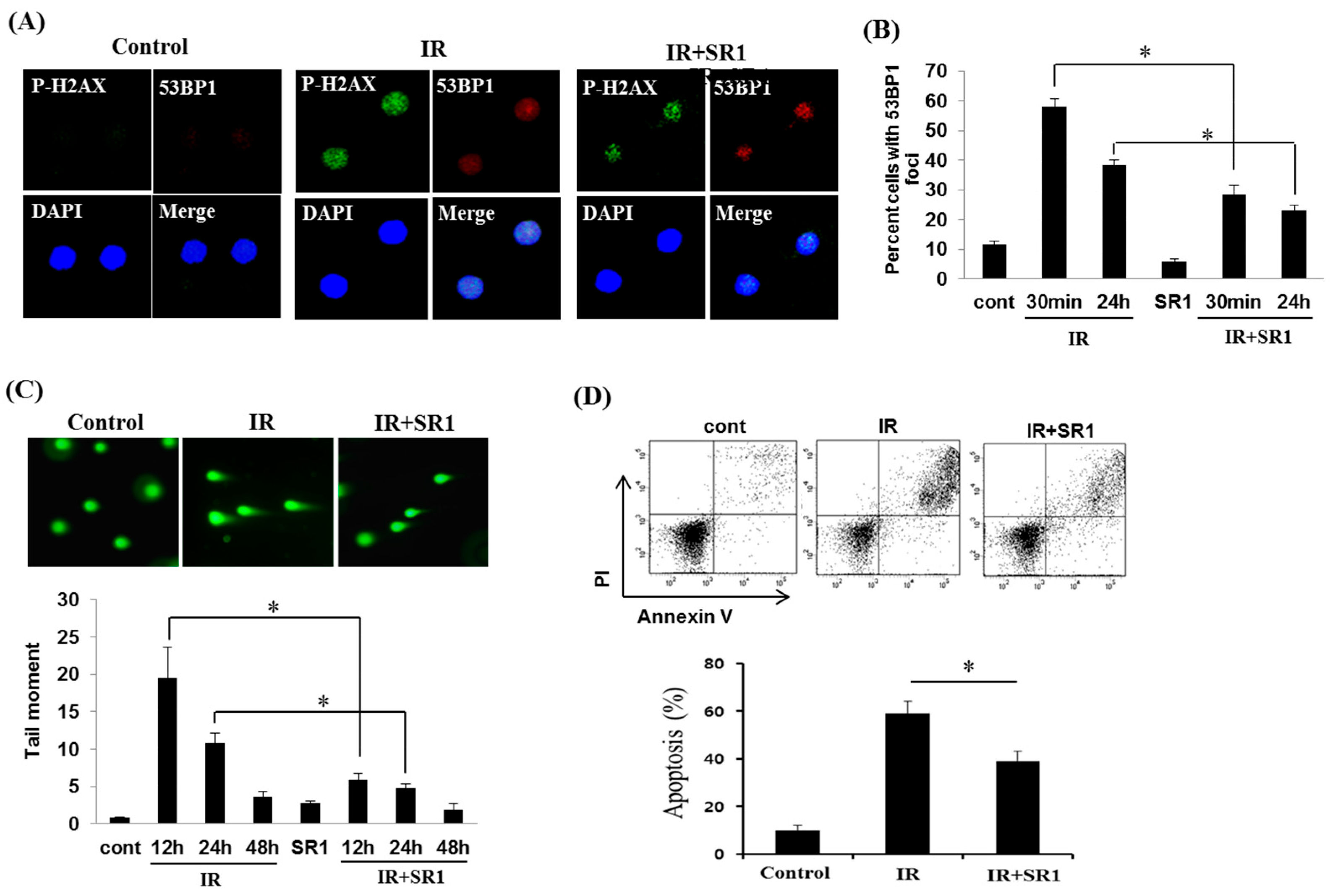Biomedicines 11 00824 g004