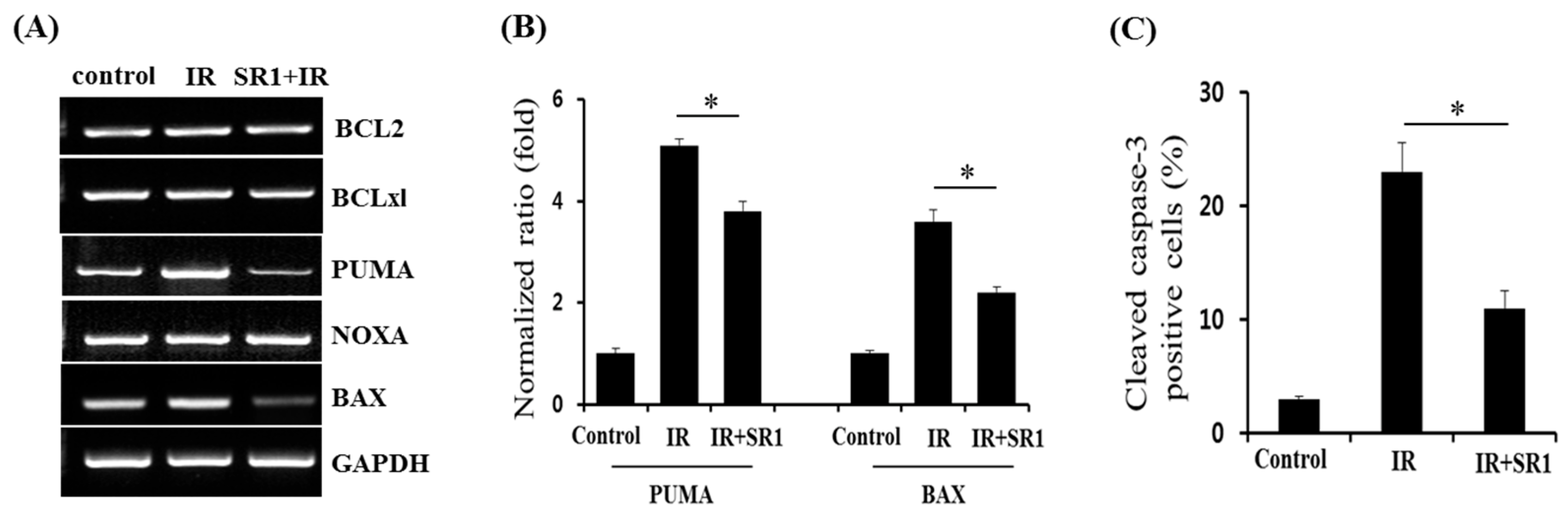 Biomedicines 11 00824 g005