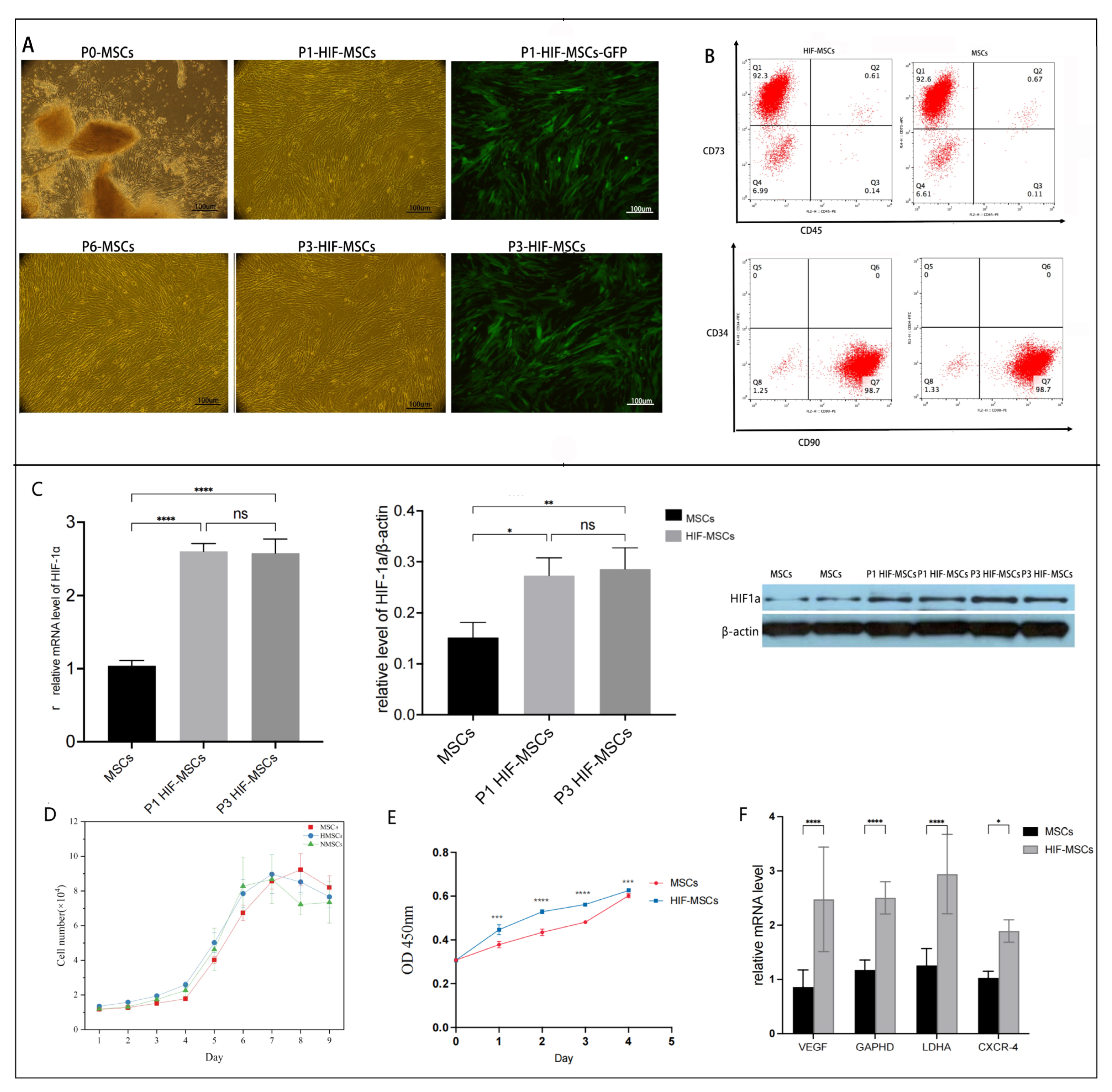 Biomedicines 11 00825 g001 Biomedicines 11 00825 g001
