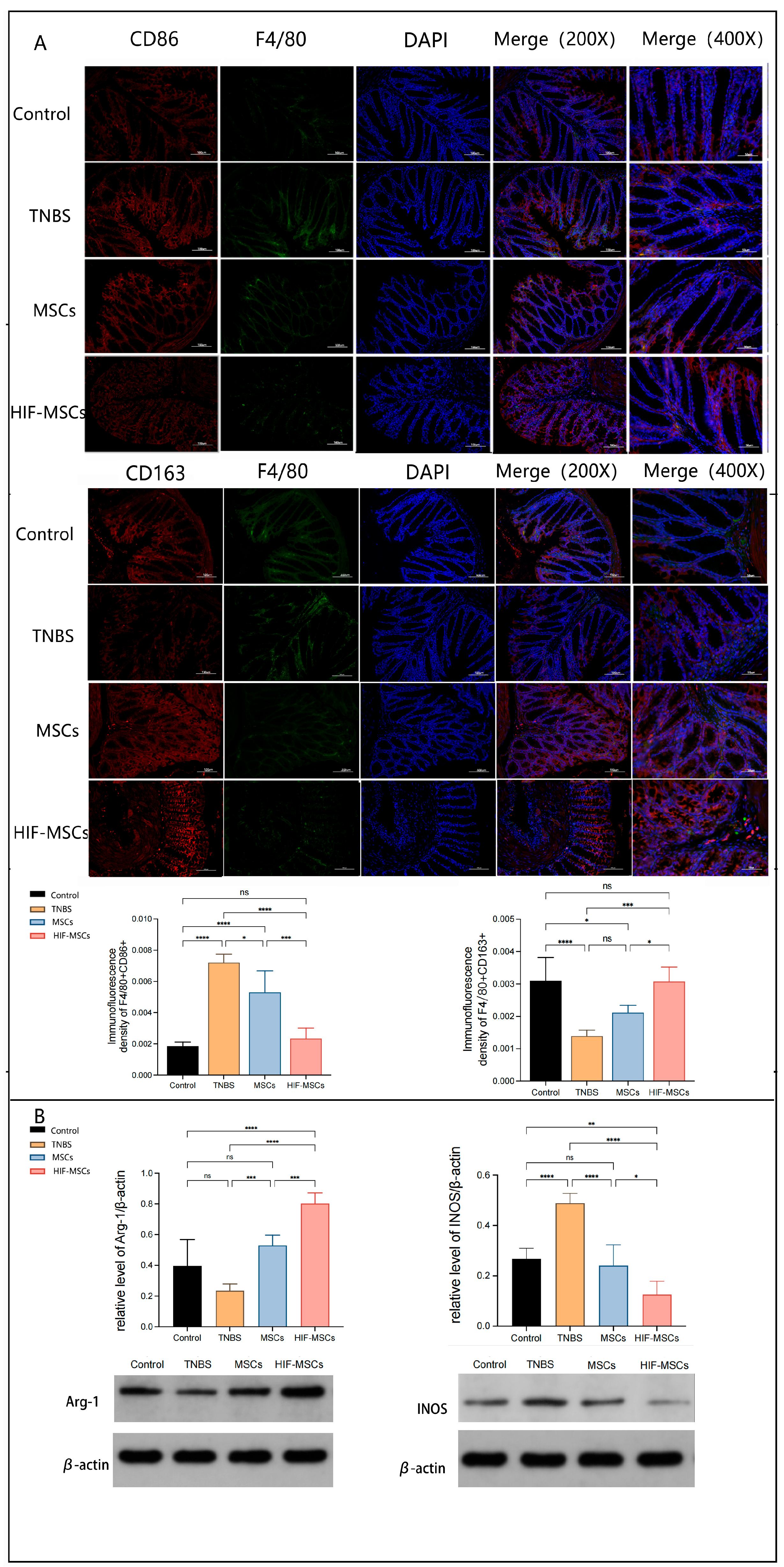 Biomedicines 11 00825 g004 Biomedicines 11 00825 g004