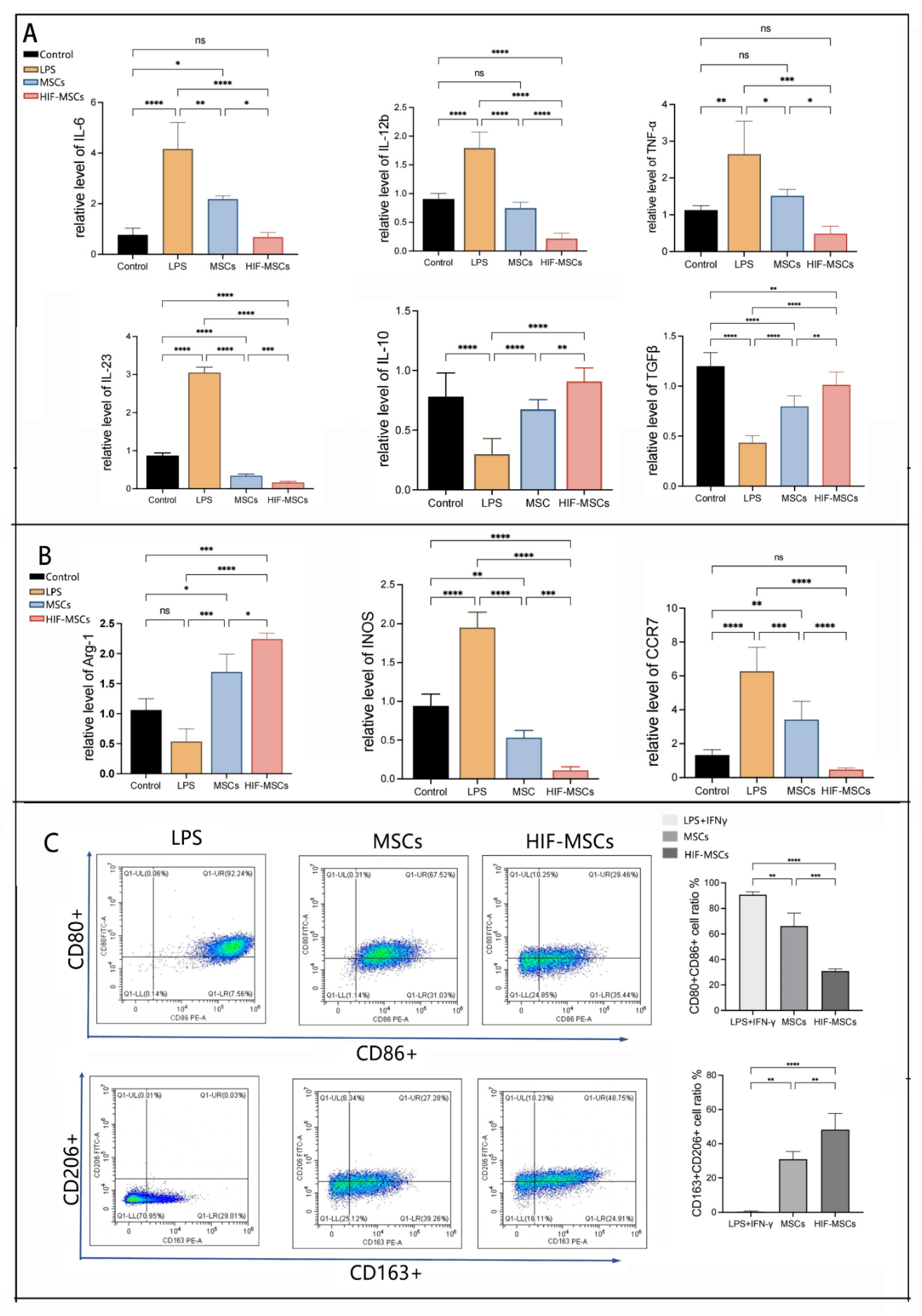 Biomedicines 11 00825 g005 Biomedicines 11 00825 g005