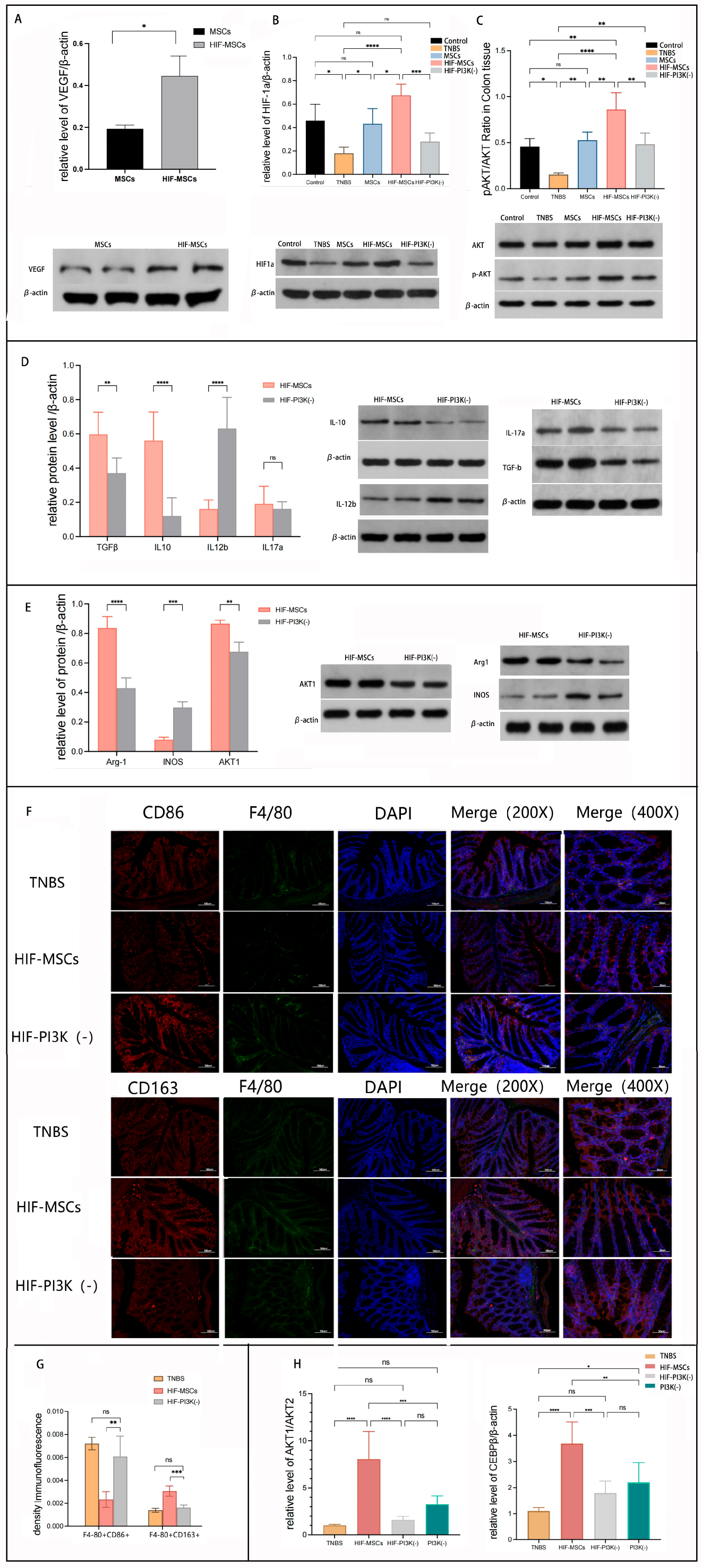 Biomedicines 11 00825 g006 Biomedicines 11 00825 g006