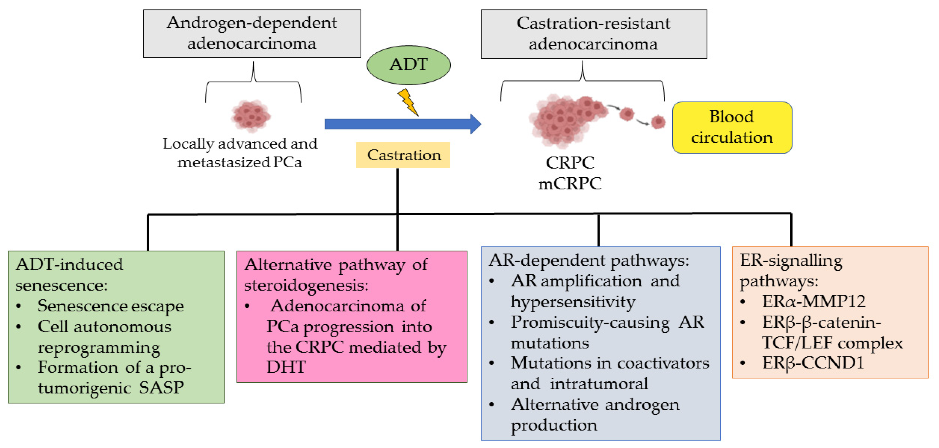 Biomedicines 11 00826 g002 Biomedicines 11 00826 g002