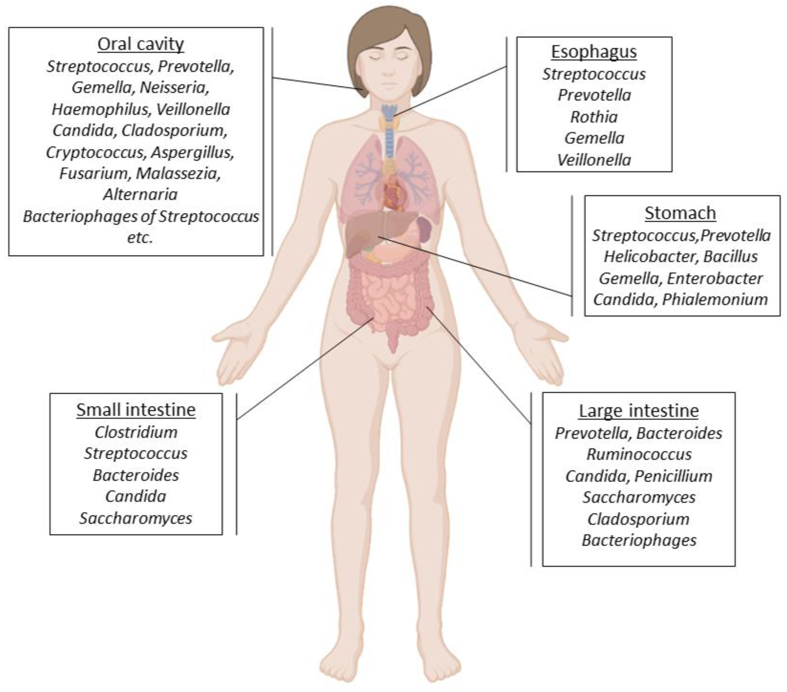 Biomedicines 11 00827 g001 Biomedicines 11 00827 g001
