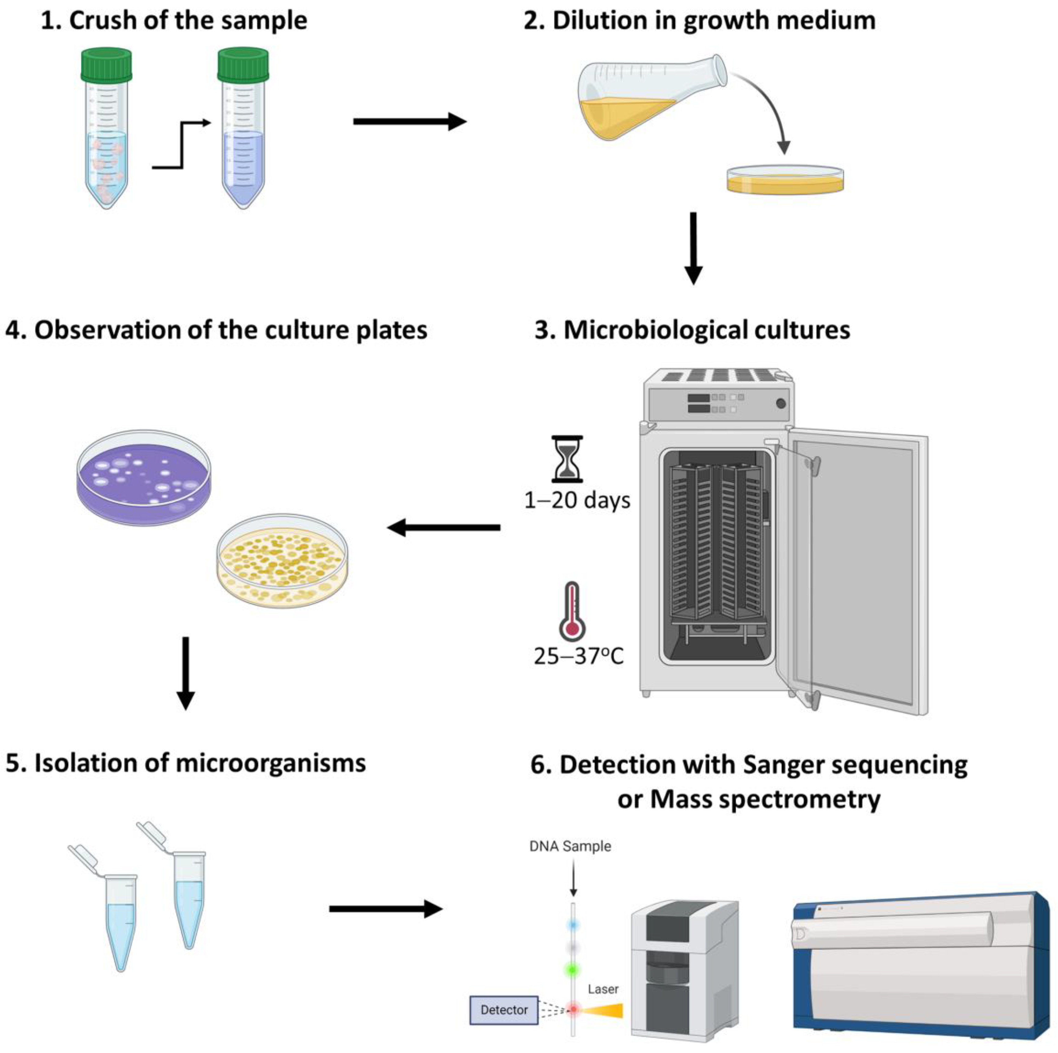 Biomedicines 11 00827 g002 Biomedicines 11 00827 g002