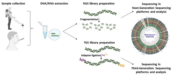 Unveiling the Human Gastrointestinal Tract Microbiome: The