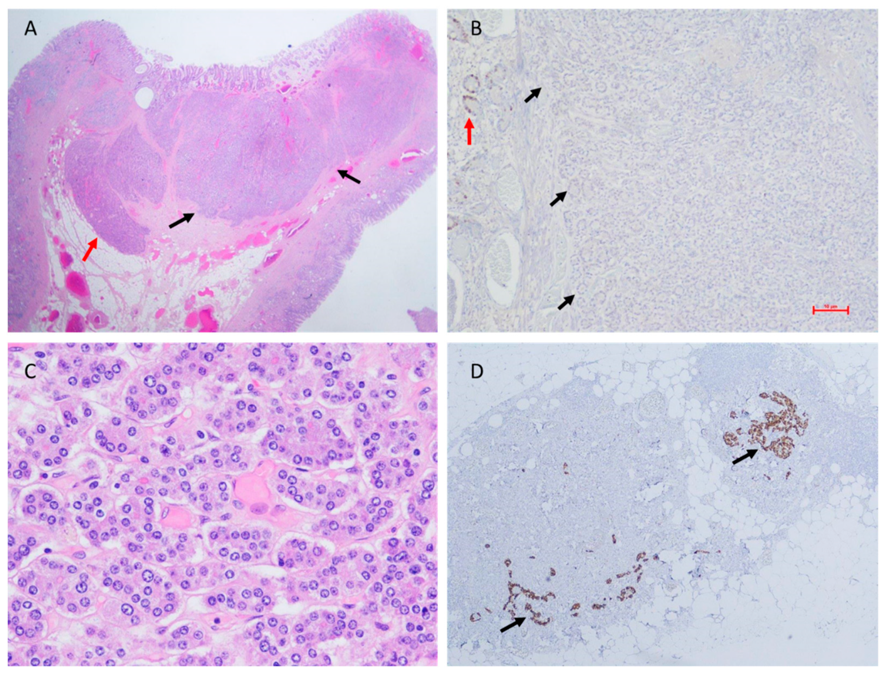 Biomedicines 11 00828 g002