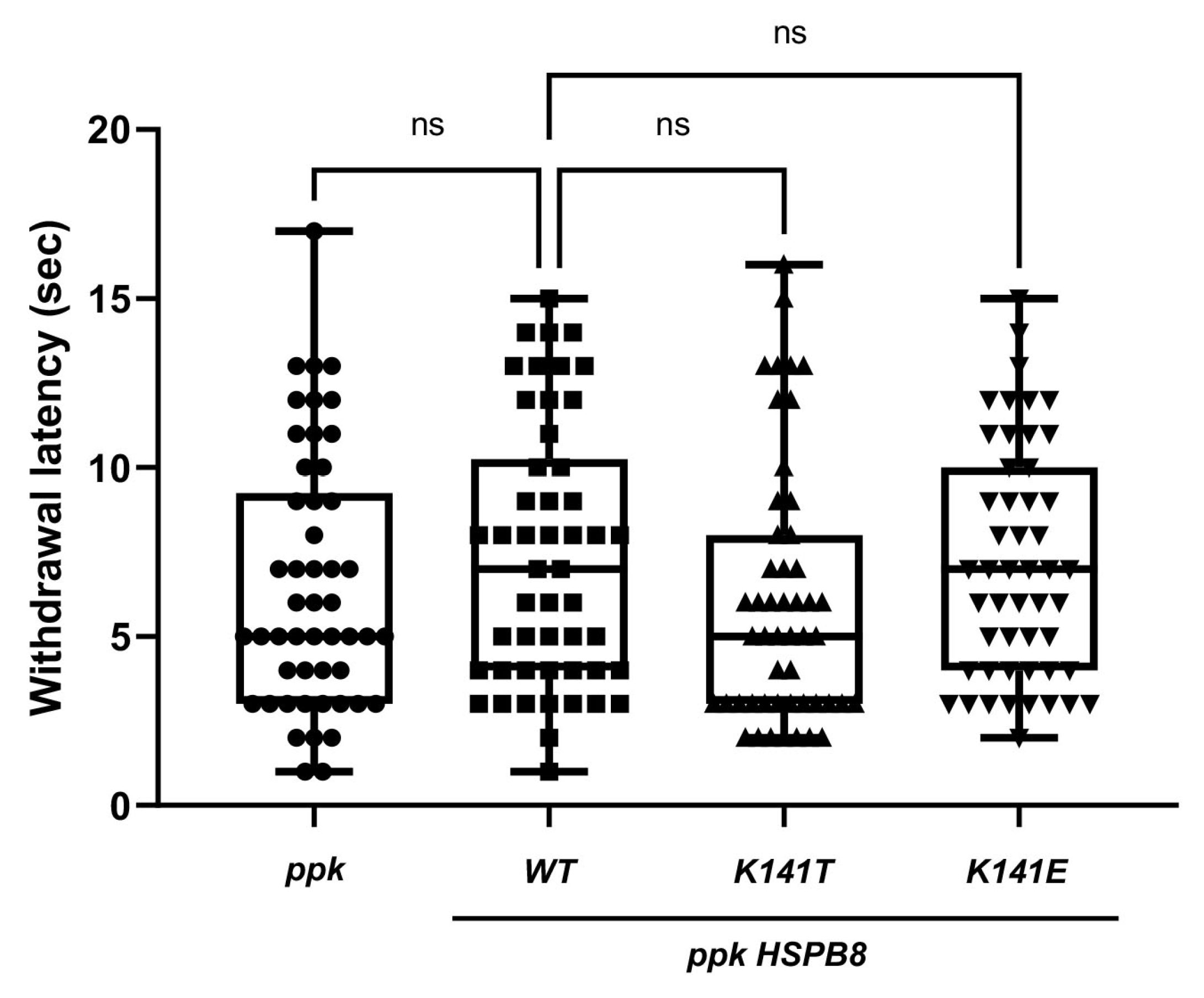 Biomedicines 11 00832 g002