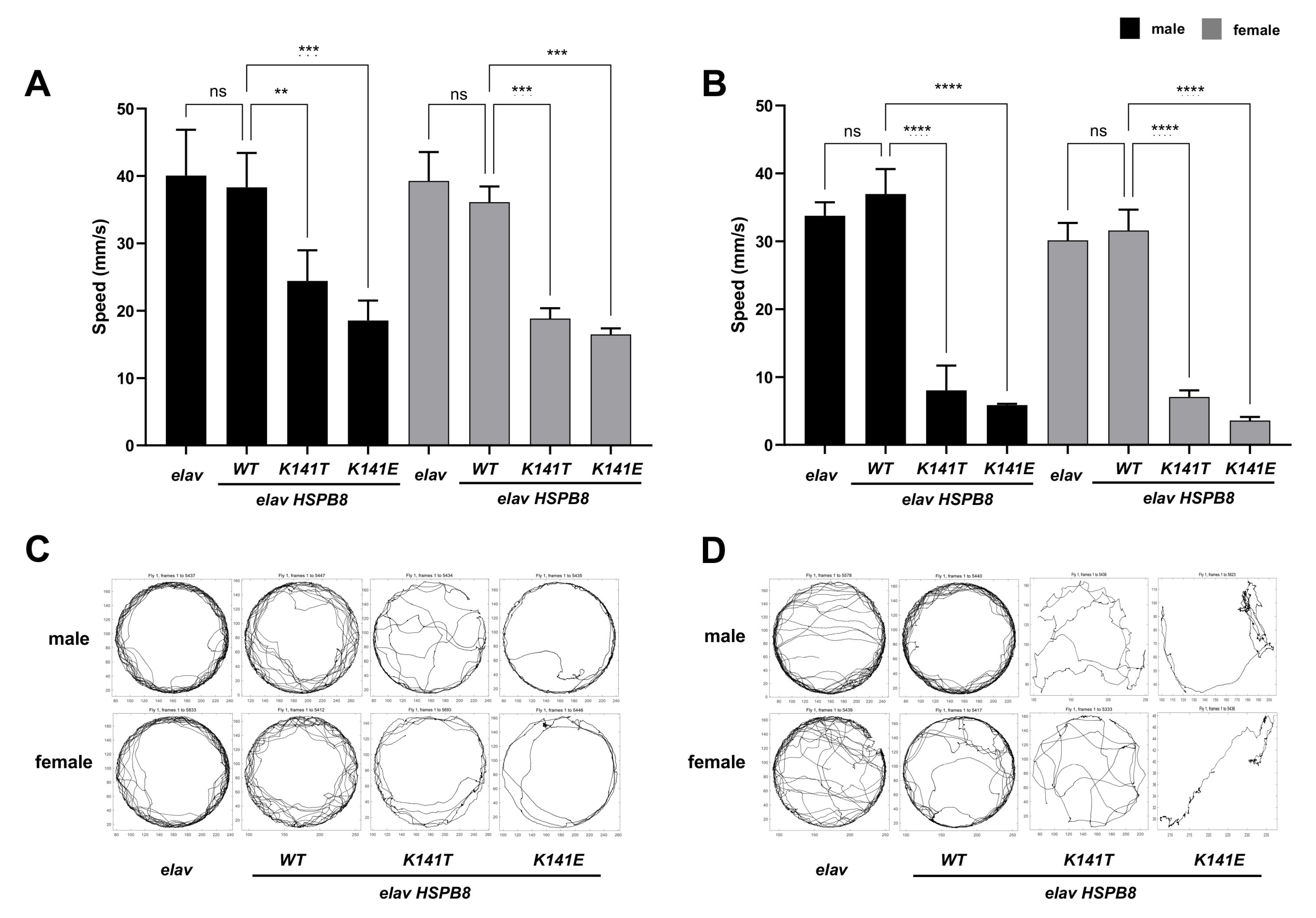 Biomedicines 11 00832 g003