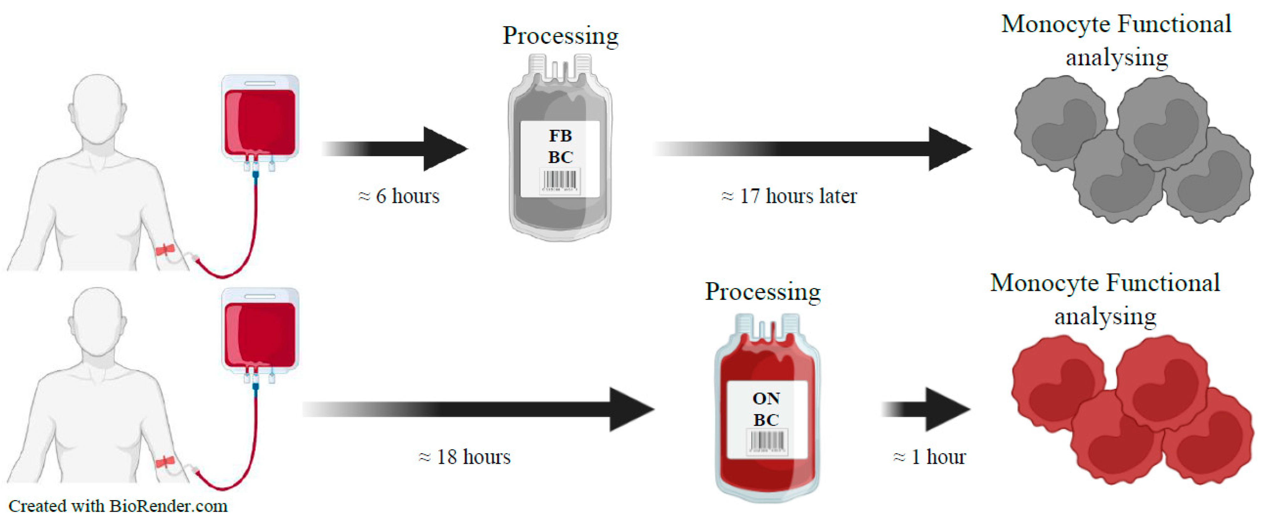 Biomedicines Free FullText Buffy Coat Processing Impacts on
