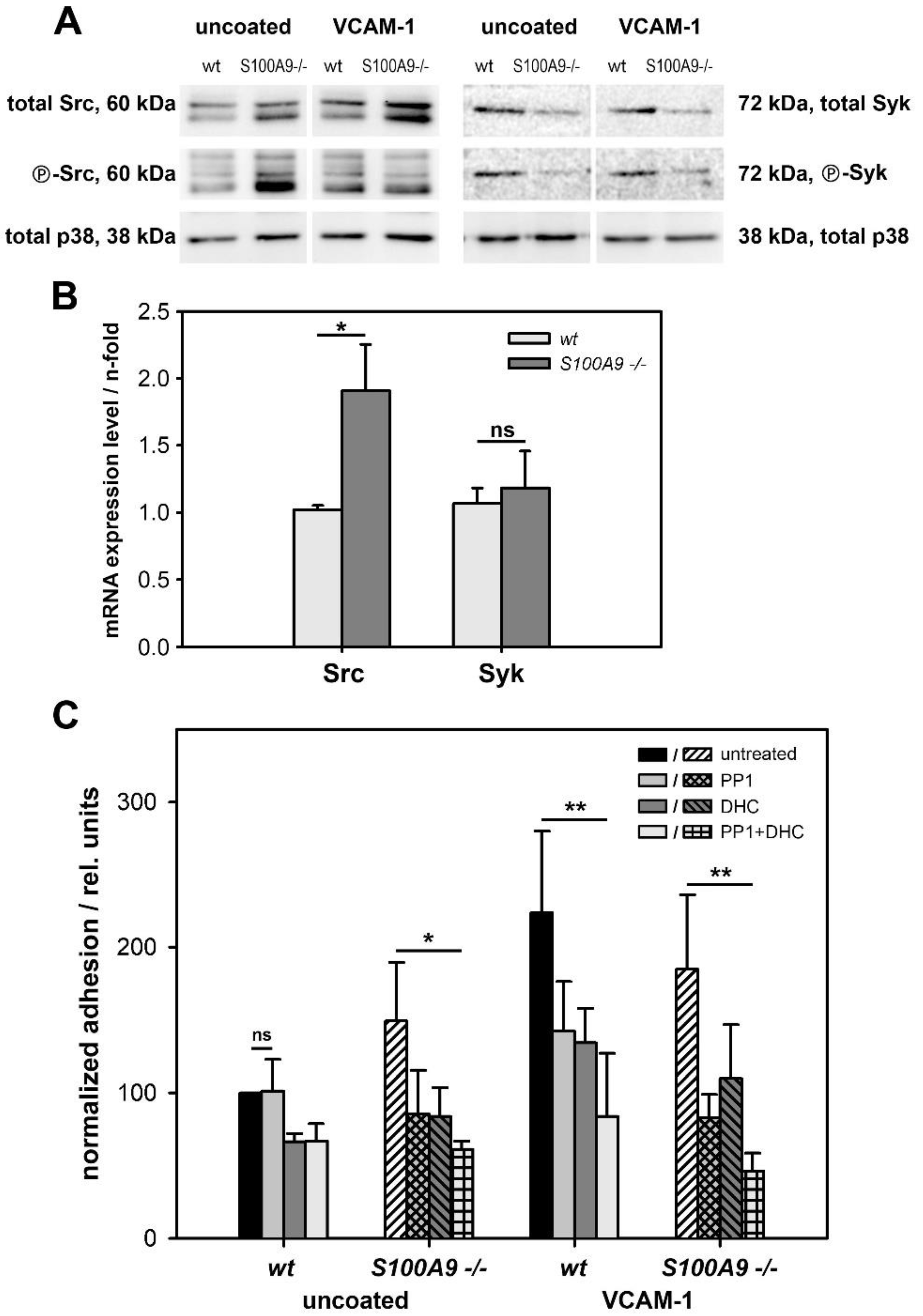 Biomedicines 11 00835 g007