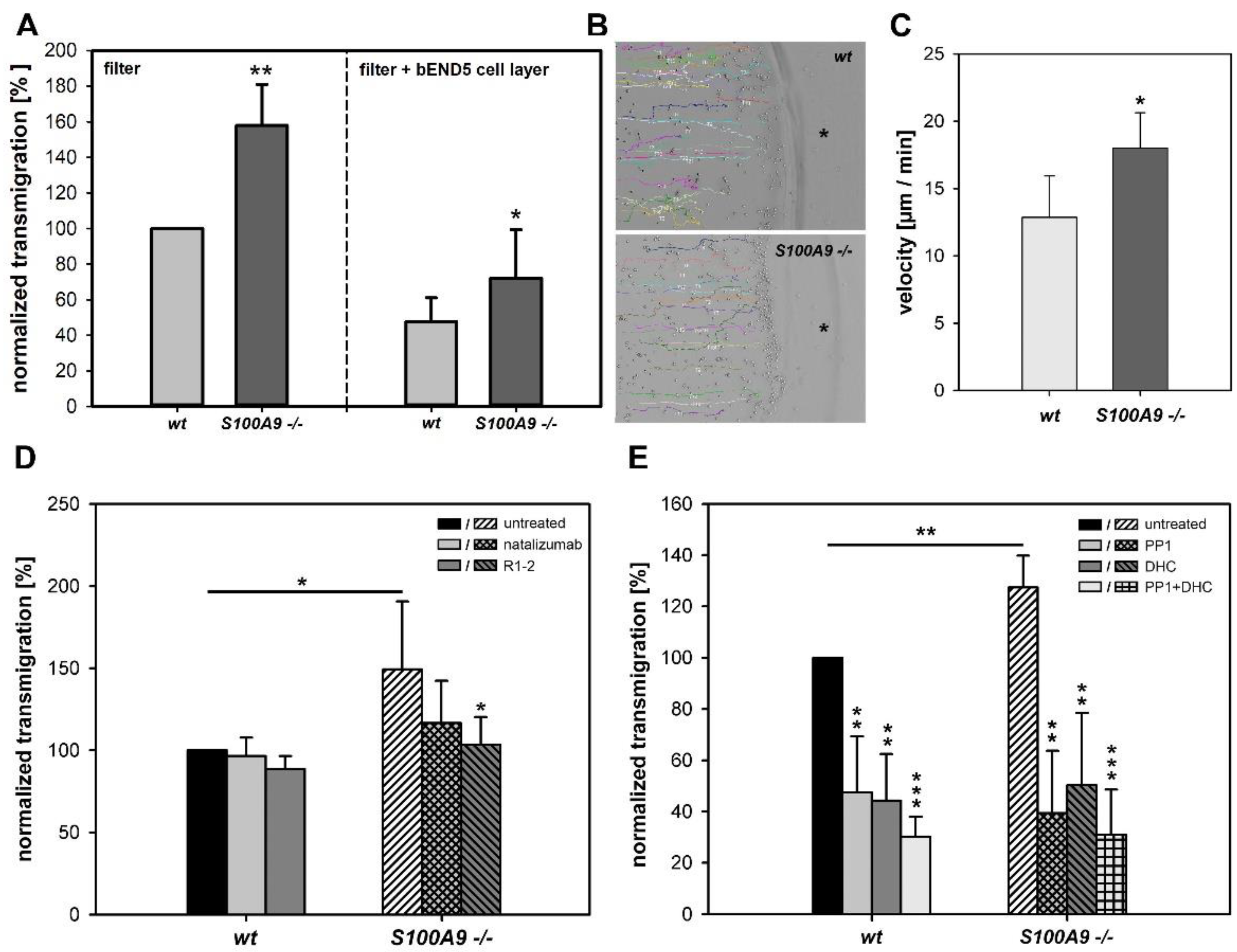 Biomedicines 11 00835 g008