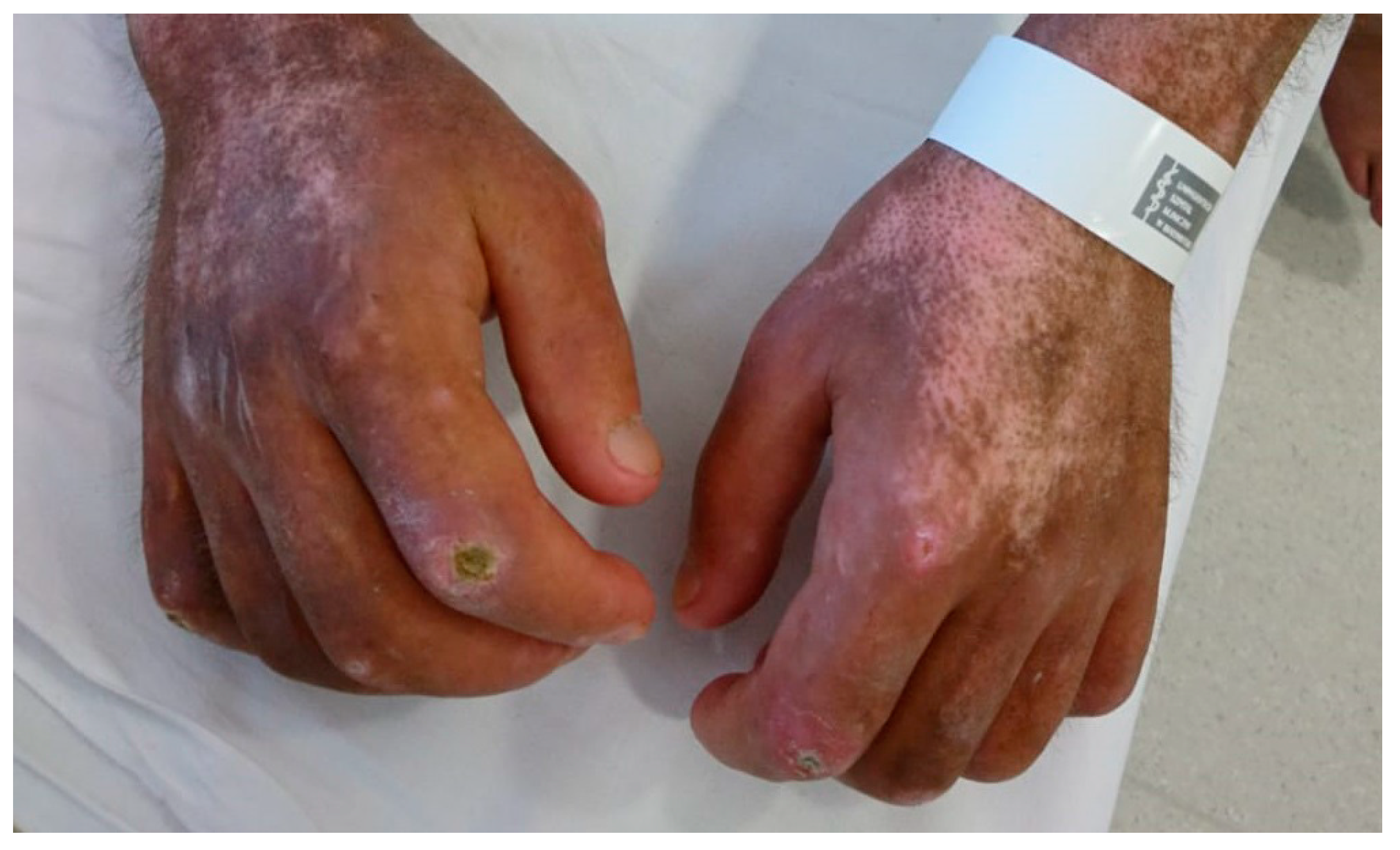 Biomedicines 11 00839 g001