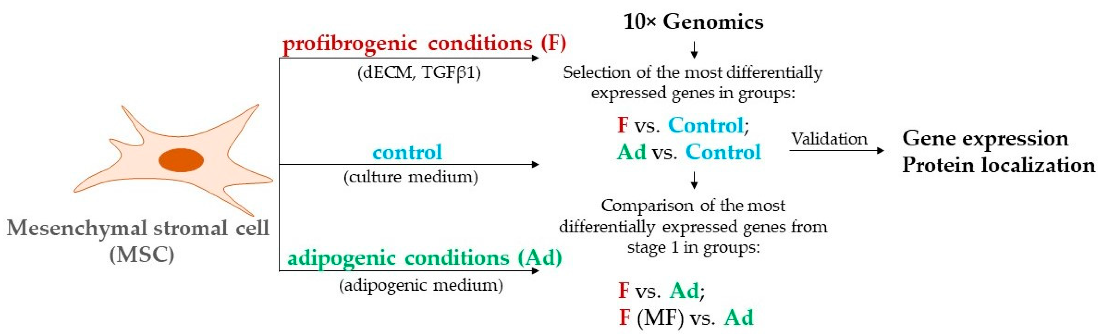 Biomedicines 11 00840 g001