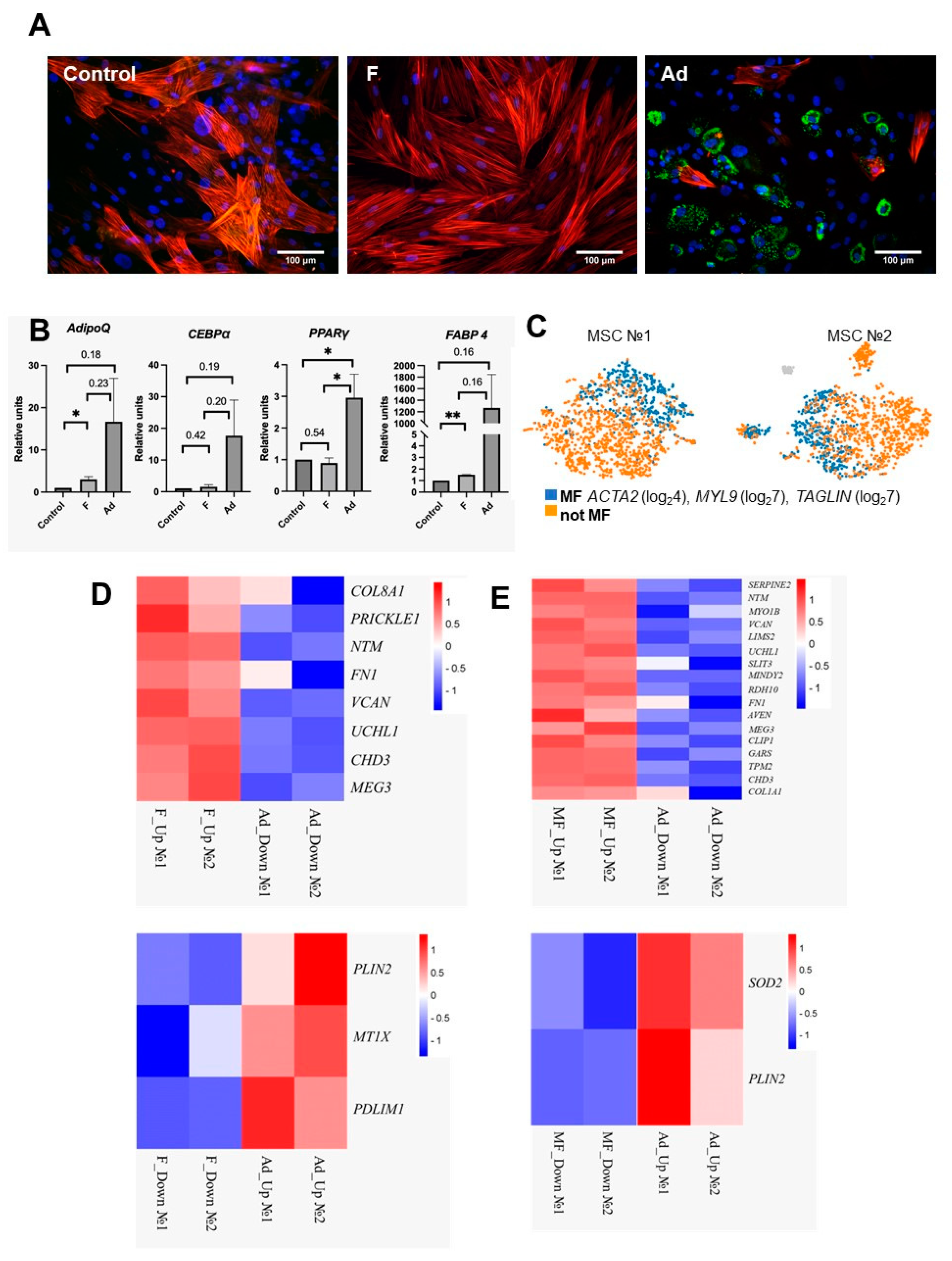 Biomedicines 11 00840 g002