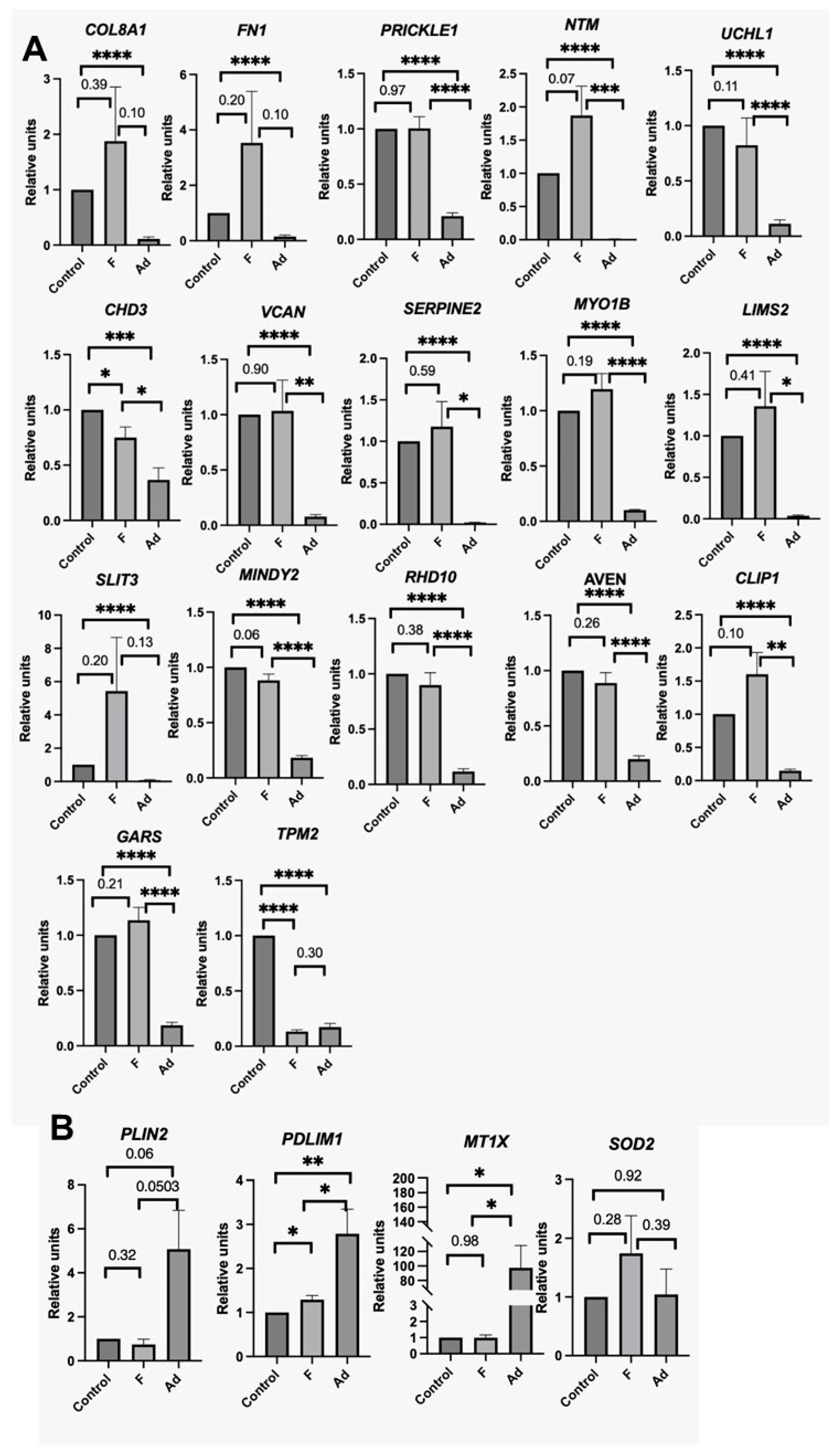 Biomedicines 11 00840 g003