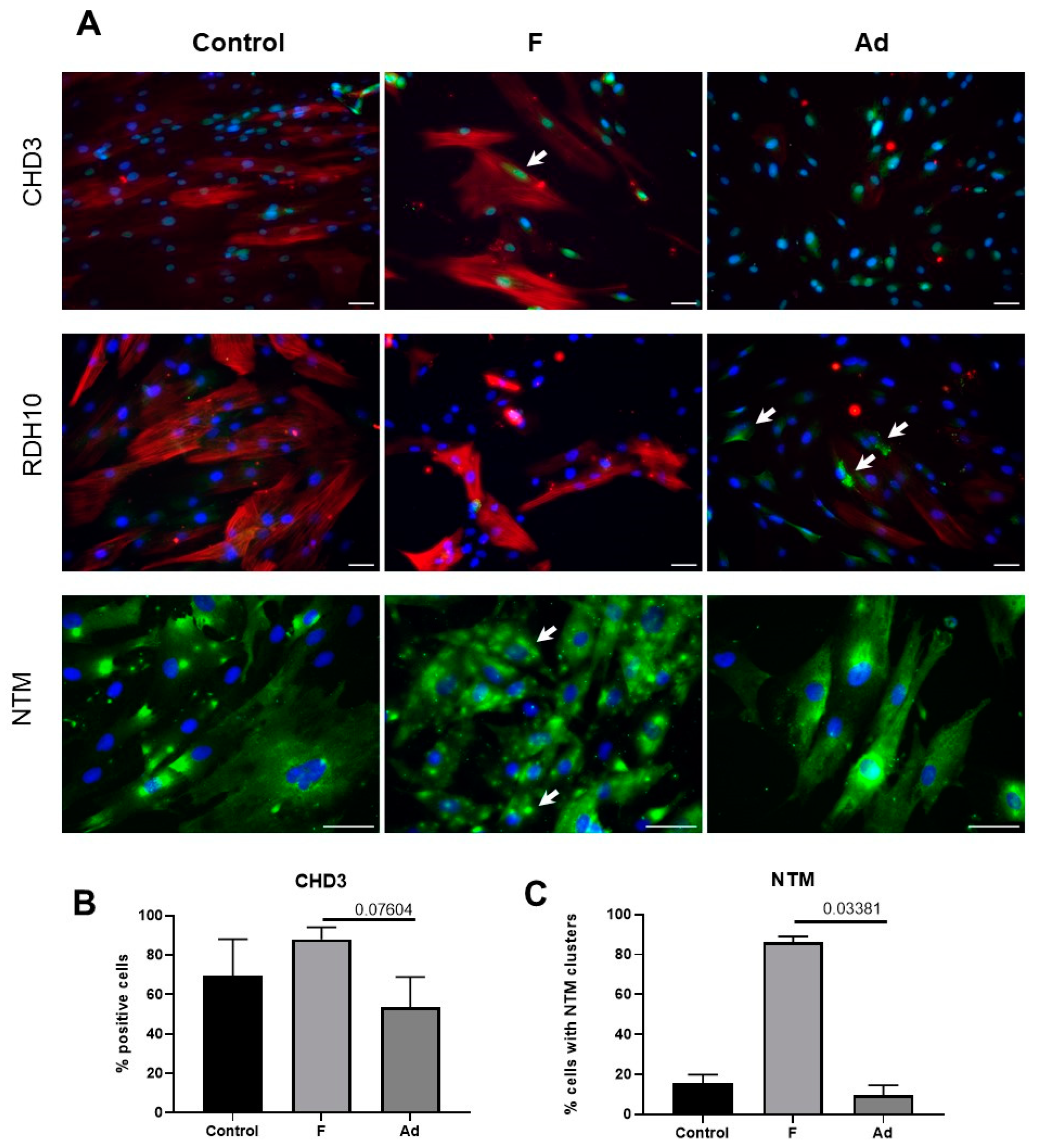 Biomedicines 11 00840 g004